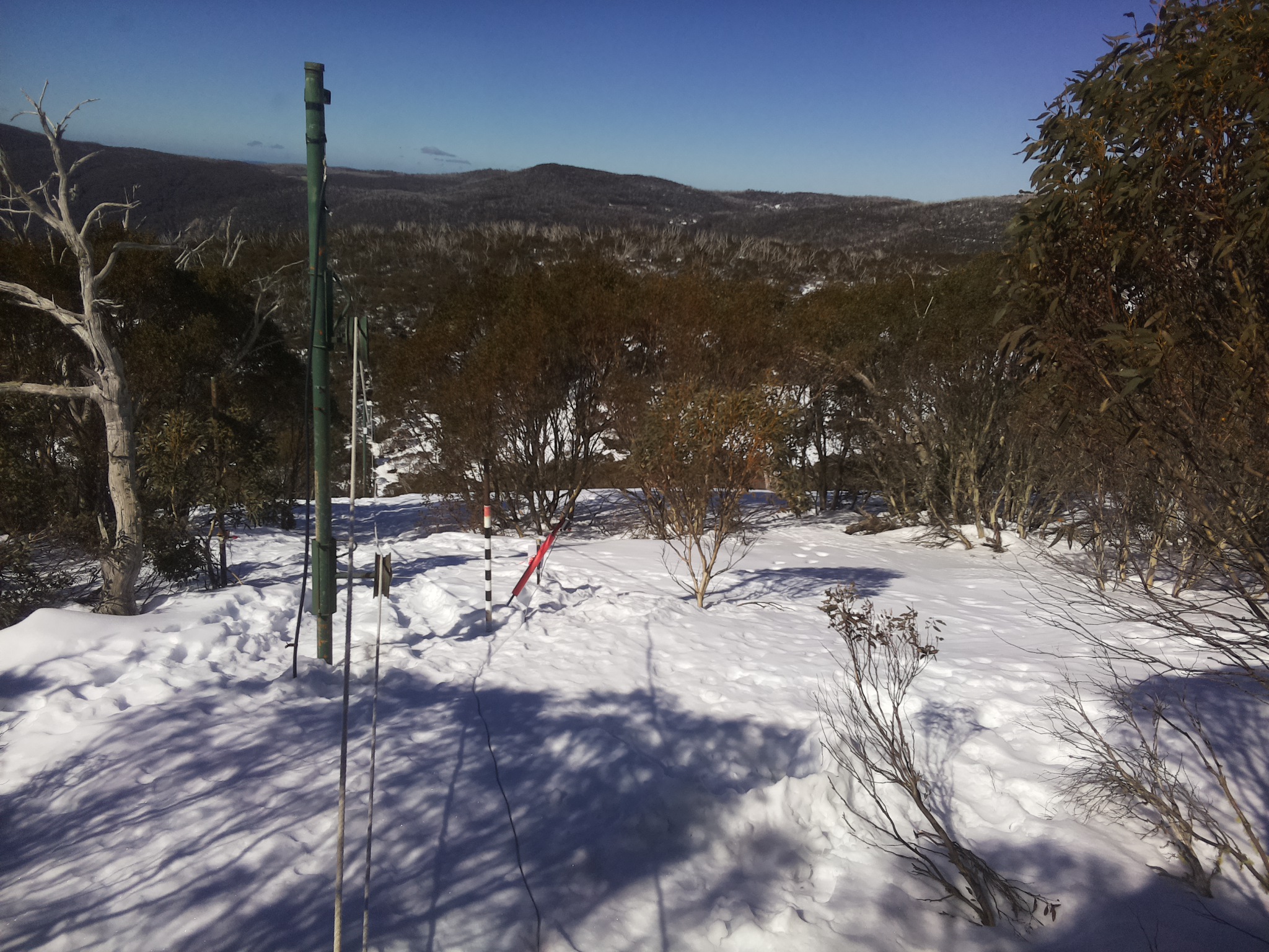 Bogong Web Cam 11:20am Thursday 14th of August 2025