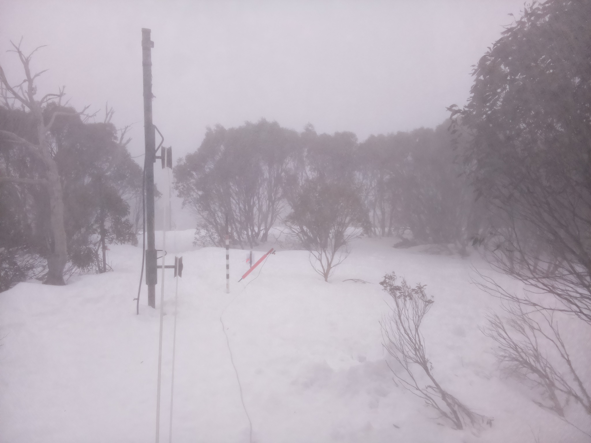 Bogong Web Cam 8:00am Friday 15th of August 2025