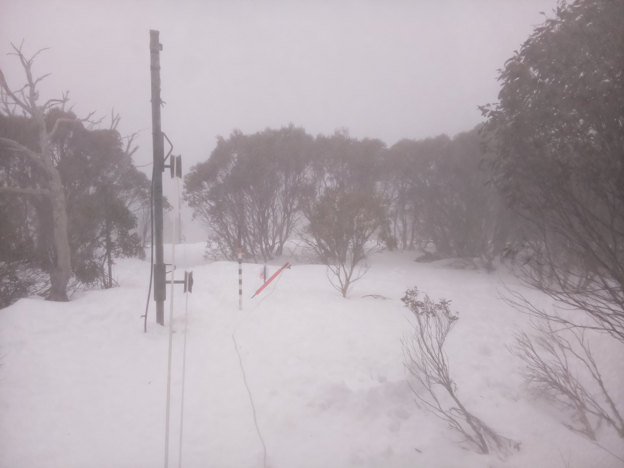 Bogong Web Cam 8:20am Friday 15th of August 2025