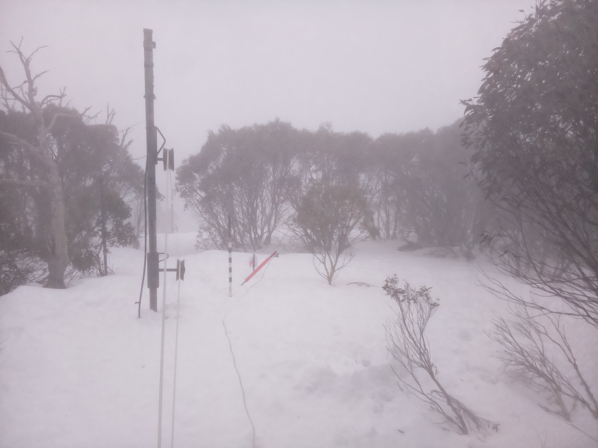 Bogong Web Cam 8:30am Friday 15th of August 2025