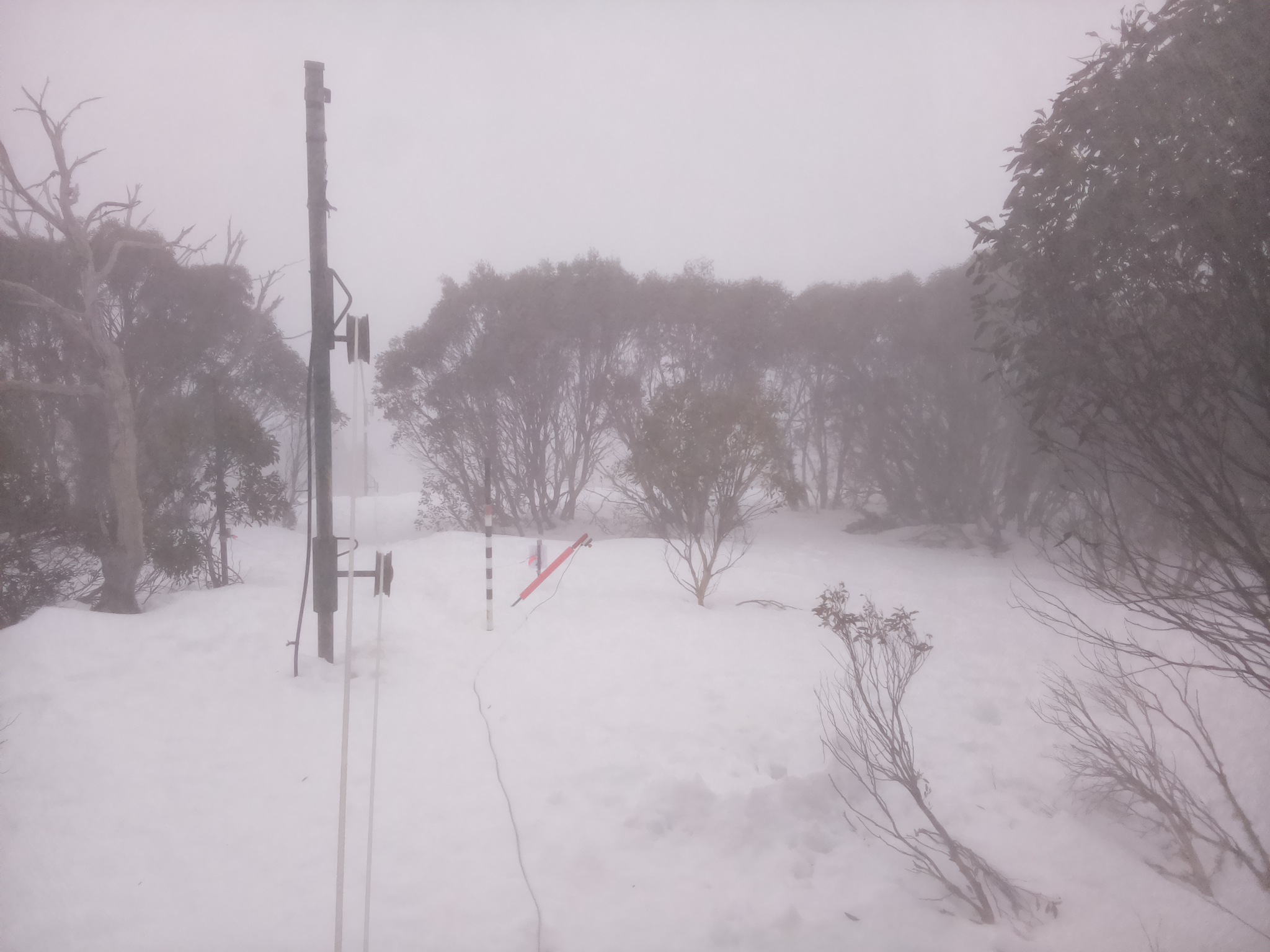 Bogong Web Cam 8:40am Friday 15th of August 2025