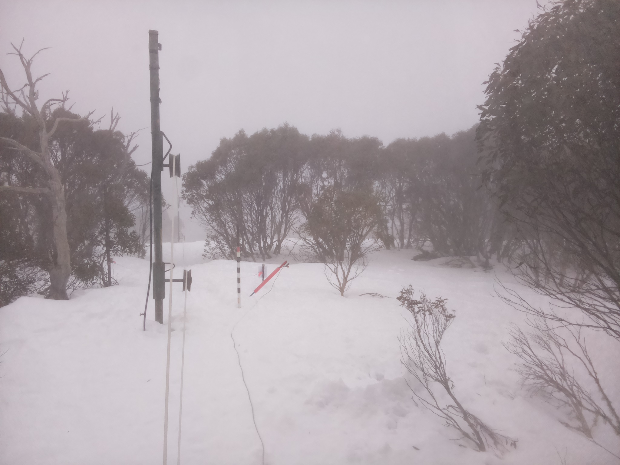 Bogong Web Cam 8:50am Friday 15th of August 2025