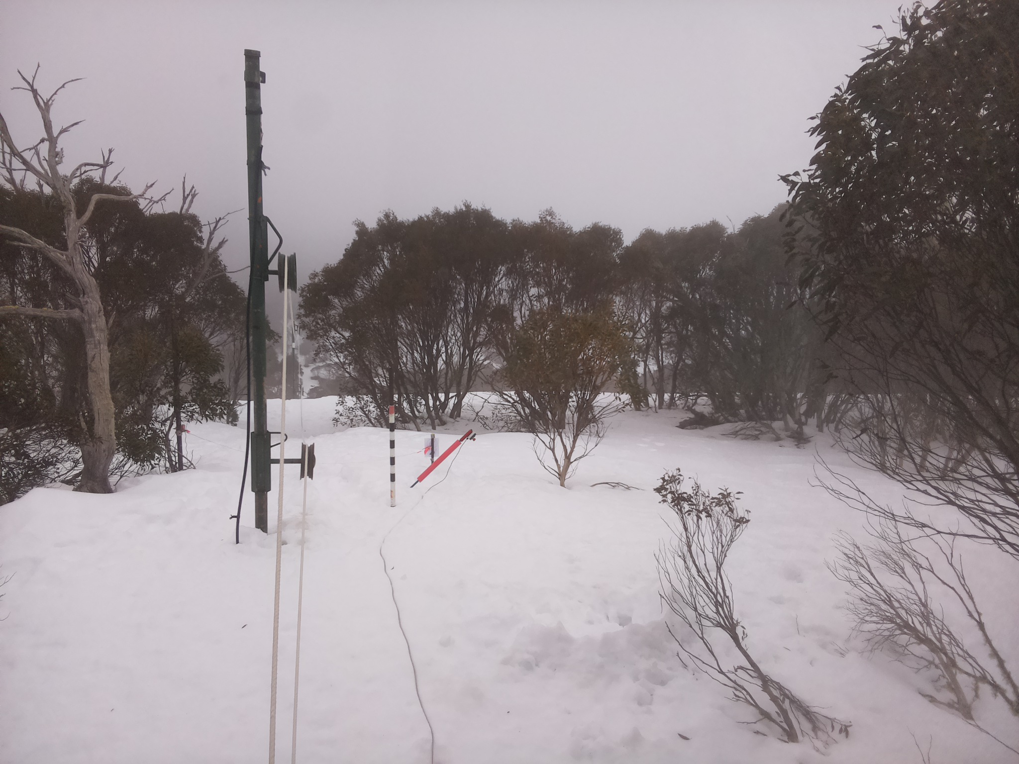 Bogong Web Cam 9:30am Friday 15th of August 2025
