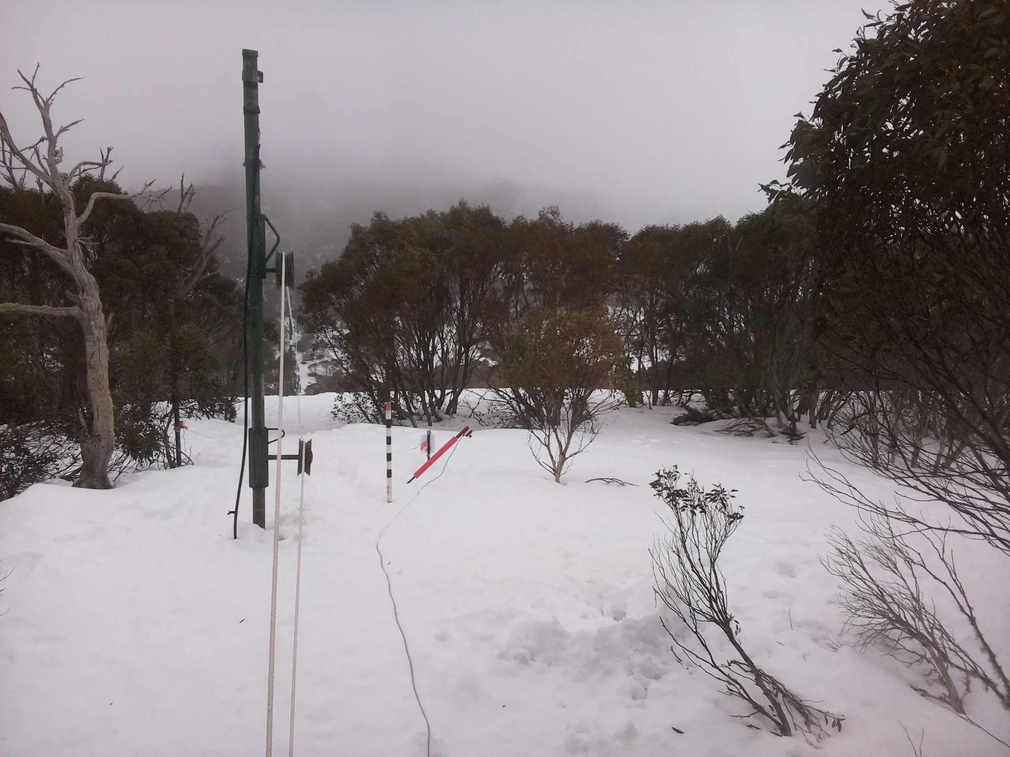 Bogong Web Cam 9:50am Friday 15th of August 2025