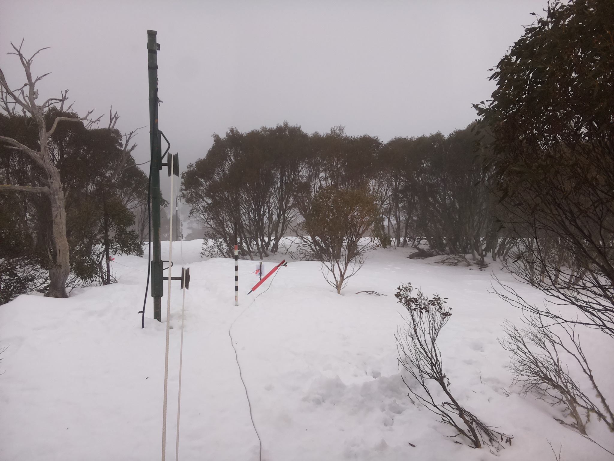 Bogong Web Cam 10:00am Friday 15th of August 2025
