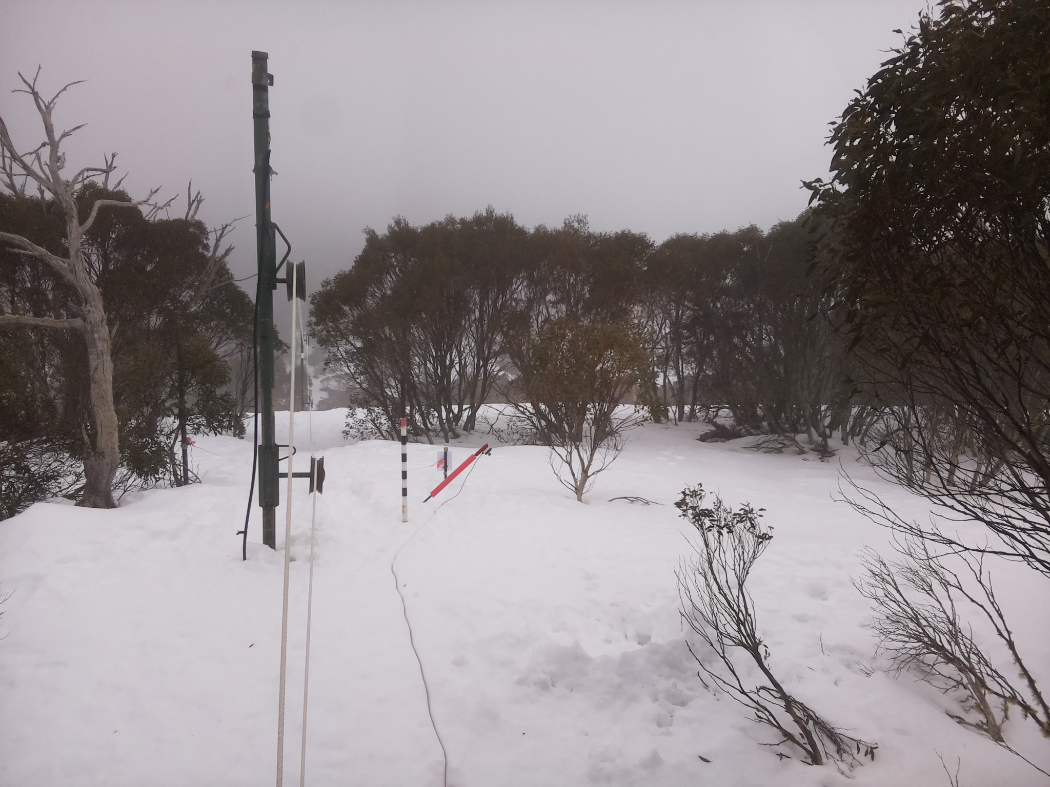 Bogong Web Cam 10:20am Friday 15th of August 2025