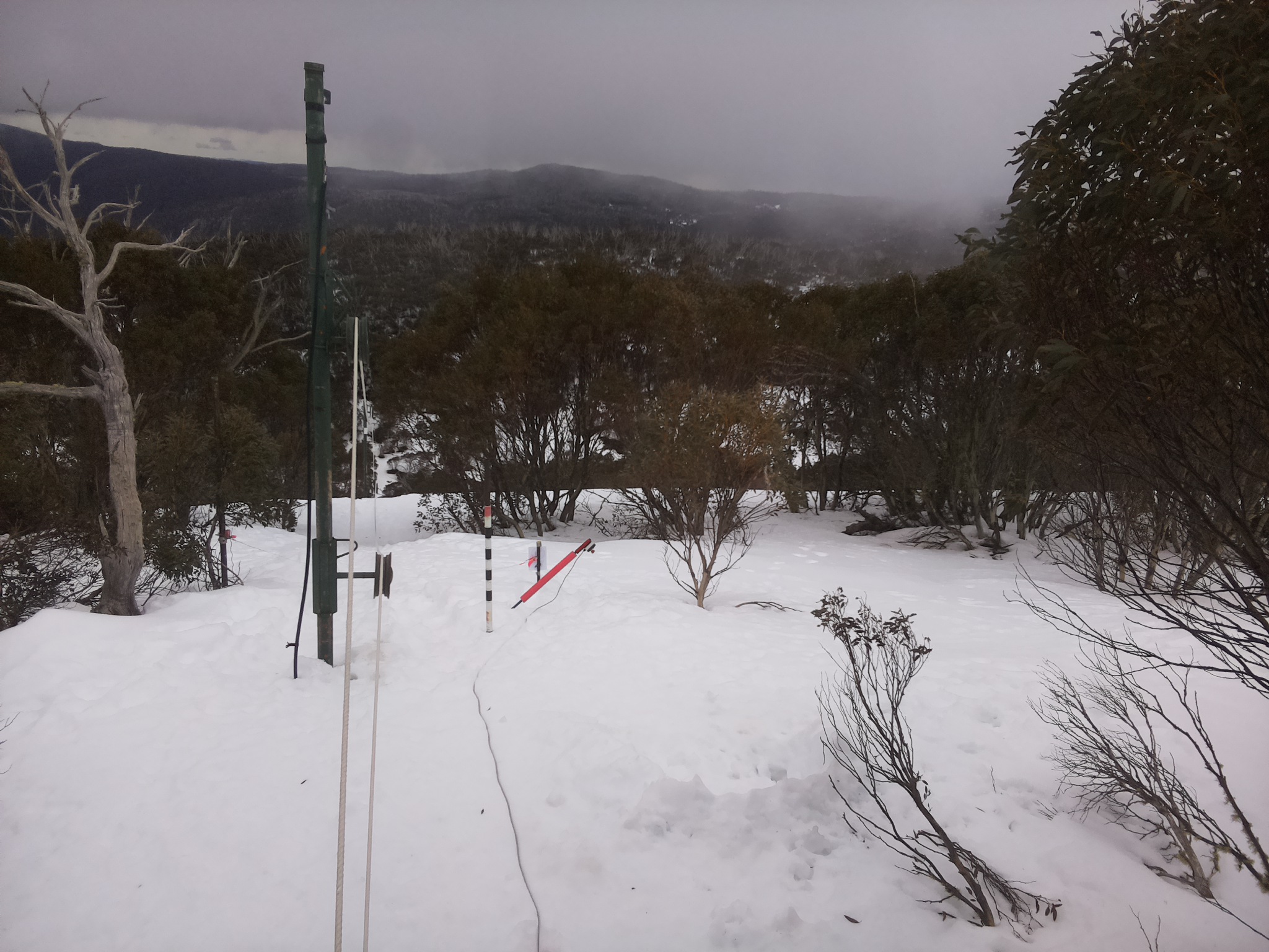 Bogong Web Cam 10:50am Friday 15th of August 2025