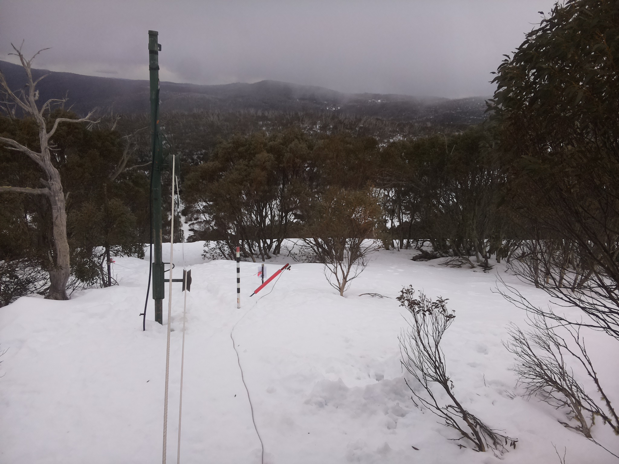 Bogong Web Cam 11:10am Friday 15th of August 2025