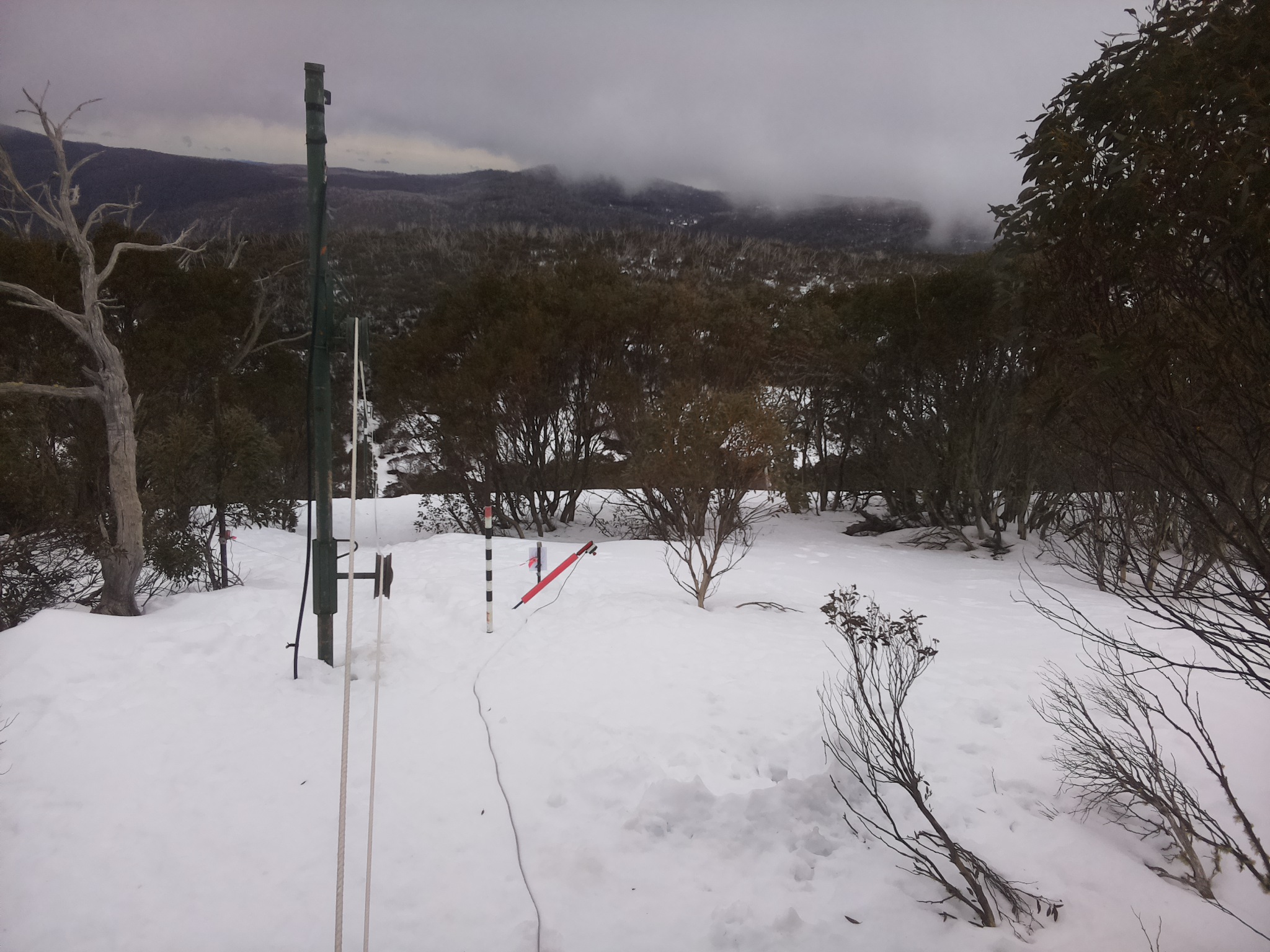 Bogong Web Cam 11:20am Friday 15th of August 2025