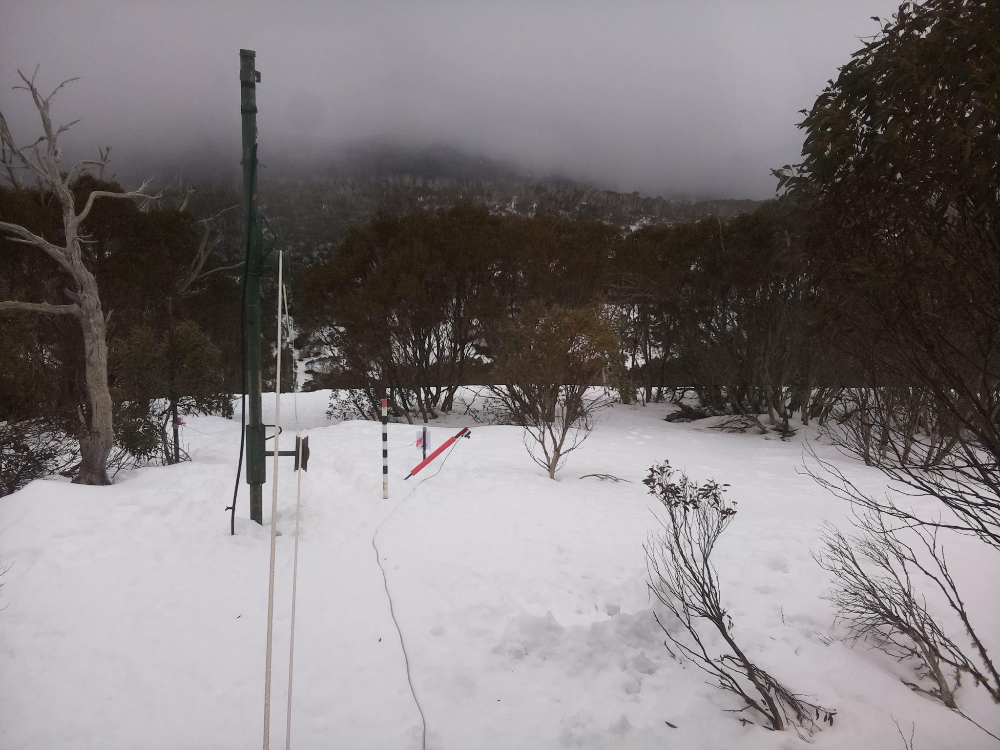 Bogong Web Cam 11:40am Friday 15th of August 2025