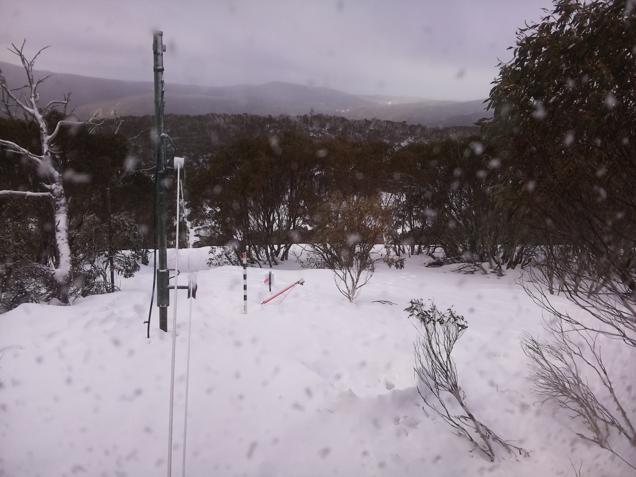 Bogong Web Cam 8:30am Saturday 16th of August 2025