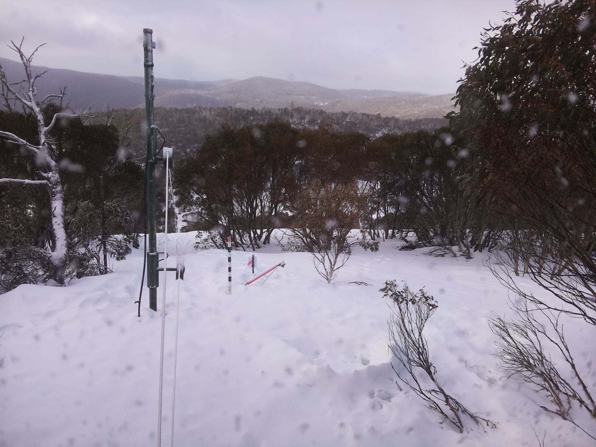 Bogong Web Cam 8:40am Saturday 16th of August 2025