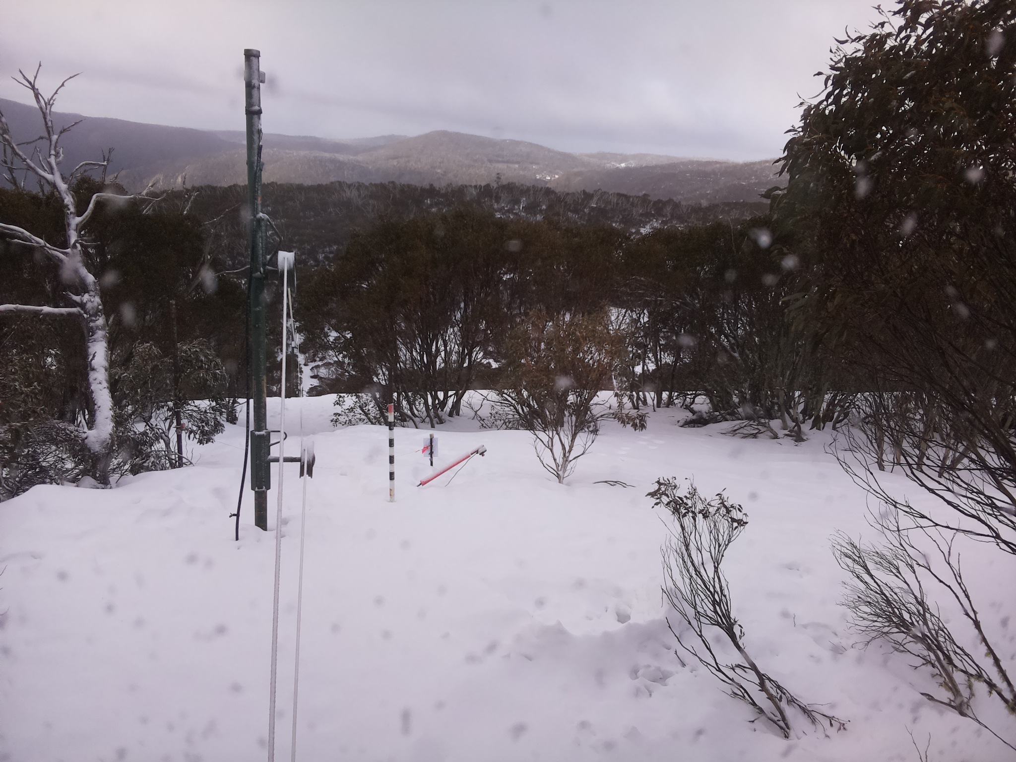 Bogong Web Cam 8:50am Saturday 16th of August 2025