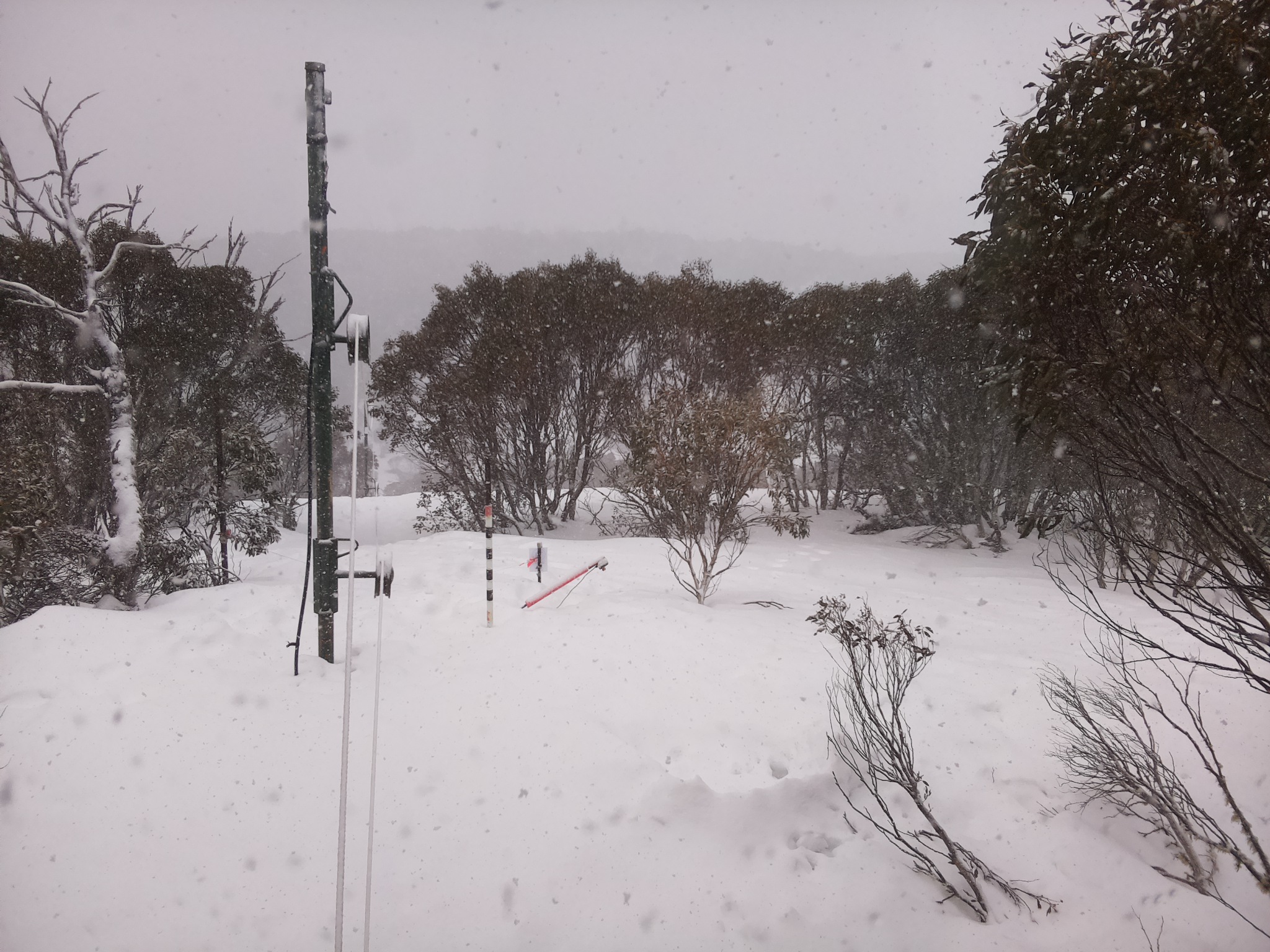 Bogong Web Cam 9:20am Saturday 16th of August 2025