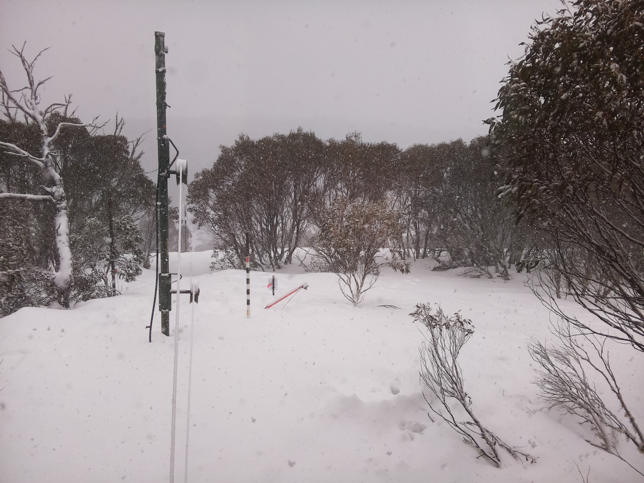 Bogong Web Cam 9:40am Saturday 16th of August 2025
