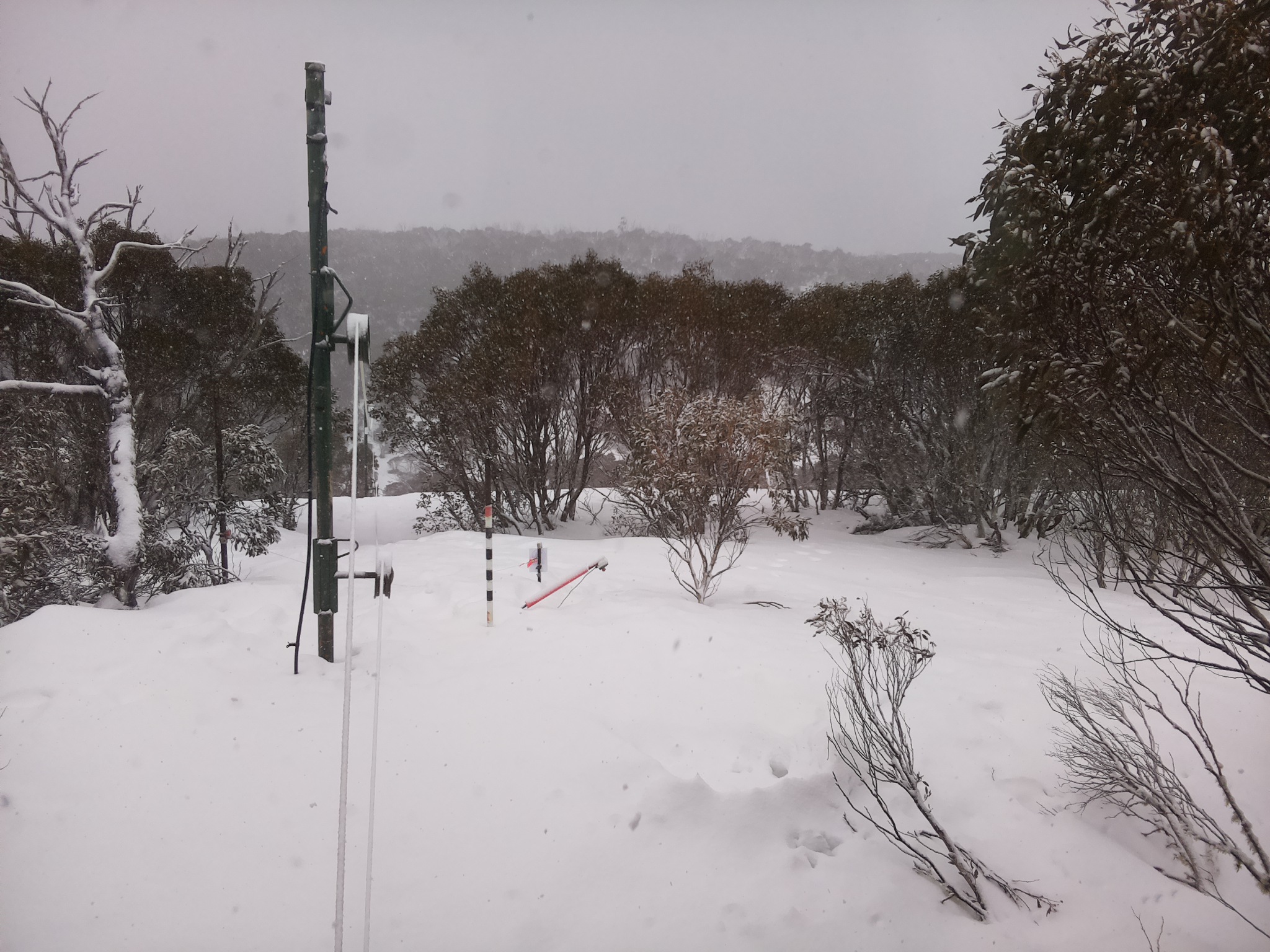 Bogong Web Cam 9:50am Saturday 16th of August 2025