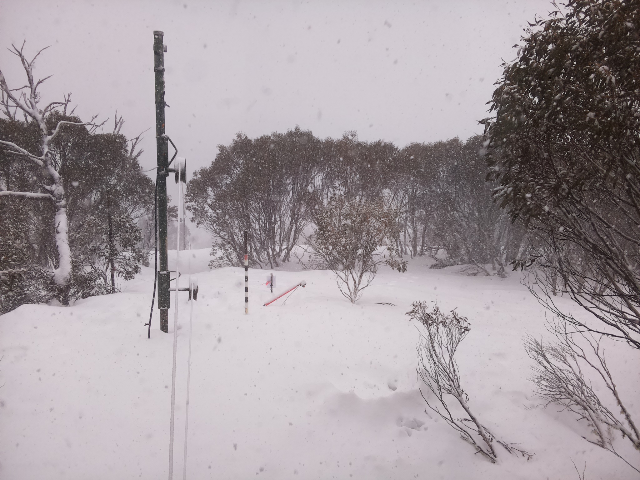 Bogong Web Cam 10:00am Saturday 16th of August 2025