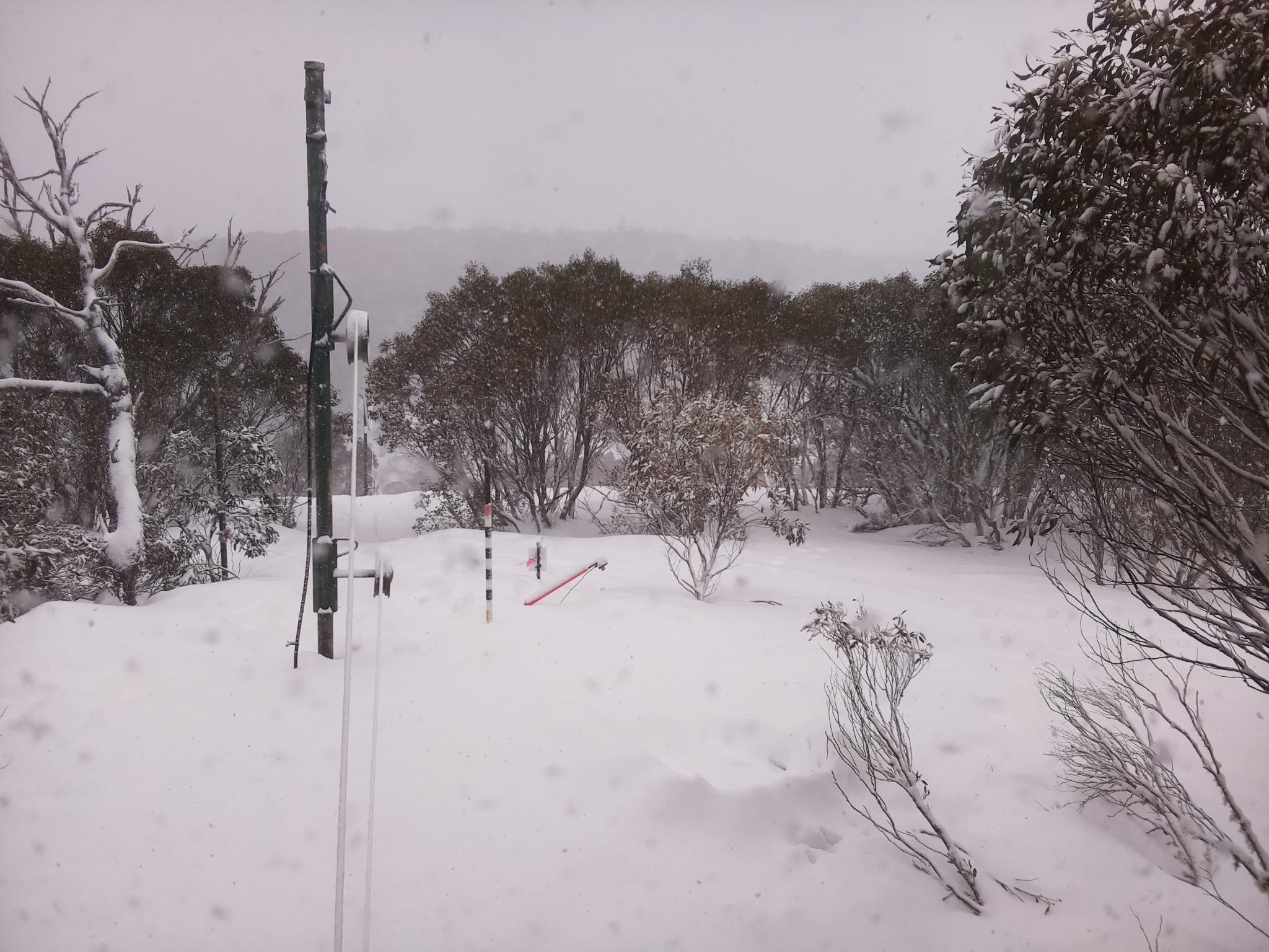 Bogong Web Cam 10:20am Saturday 16th of August 2025