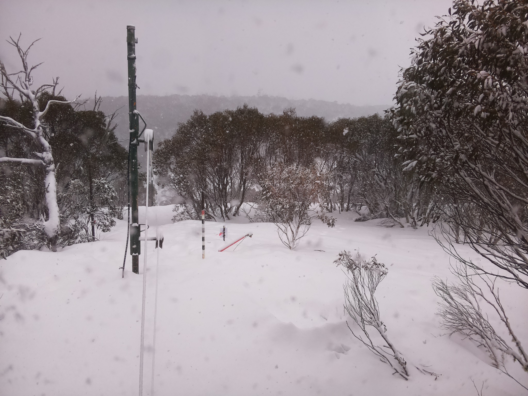 Bogong Web Cam 10:30am Saturday 16th of August 2025