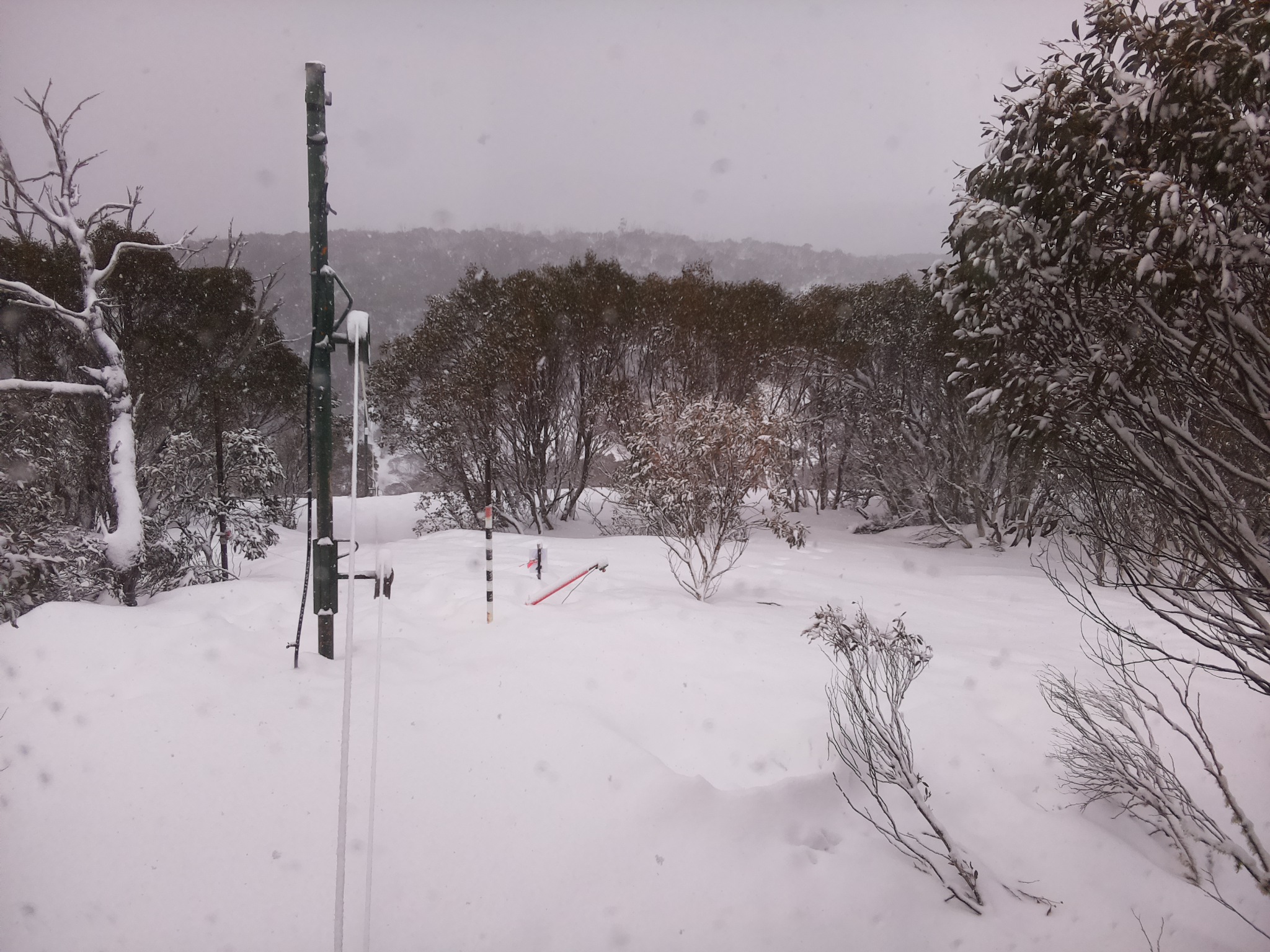 Bogong Web Cam 10:40am Saturday 16th of August 2025