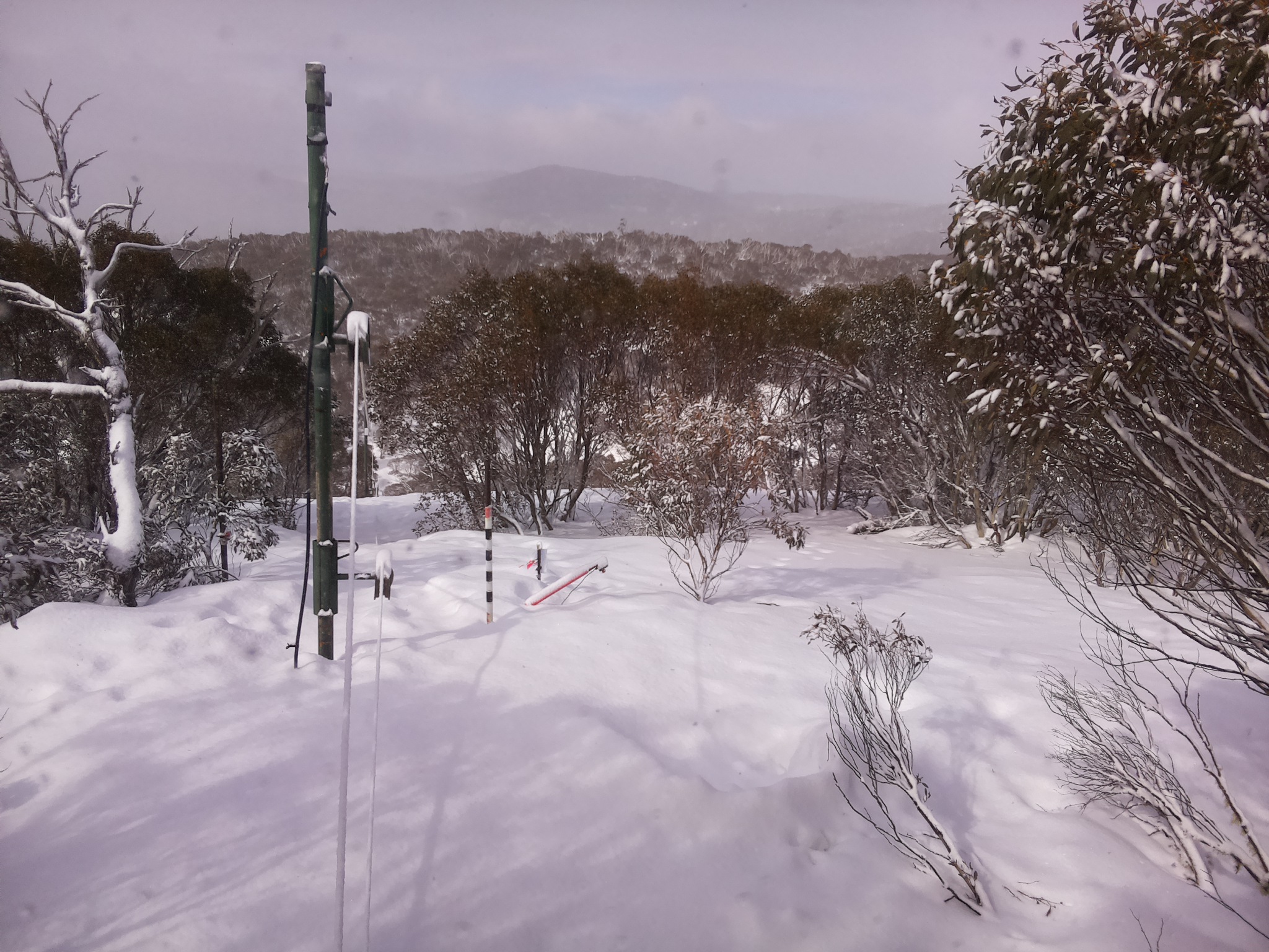 Bogong Web Cam 10:50am Saturday 16th of August 2025