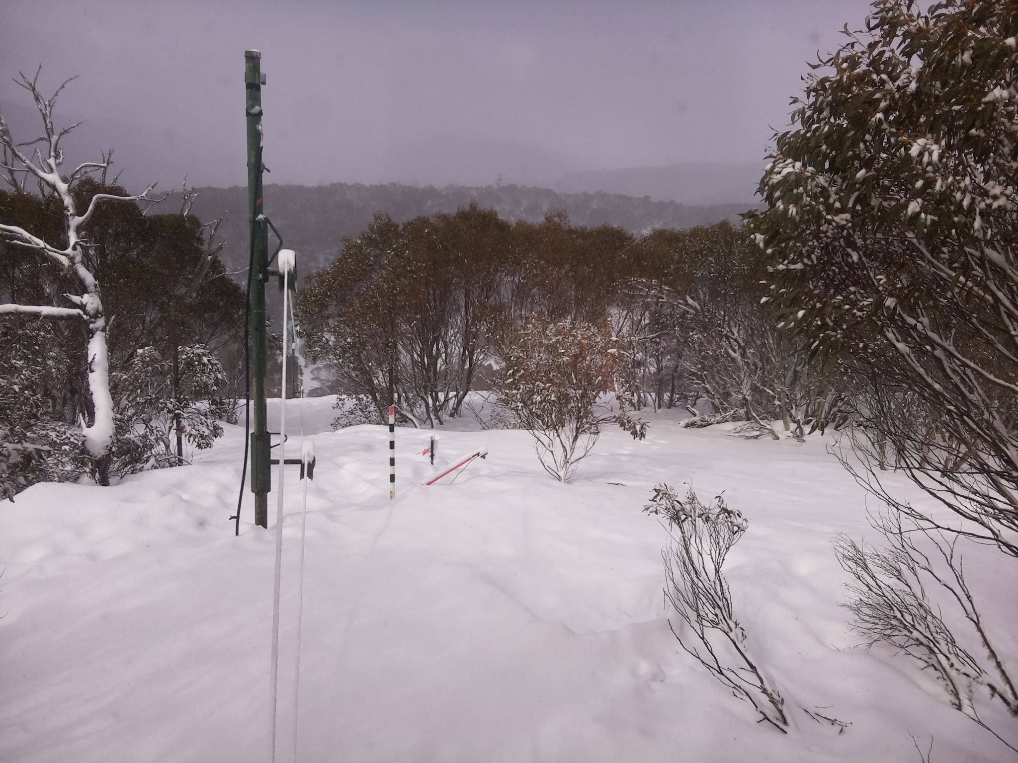 Bogong Web Cam 11:10am Saturday 16th of August 2025