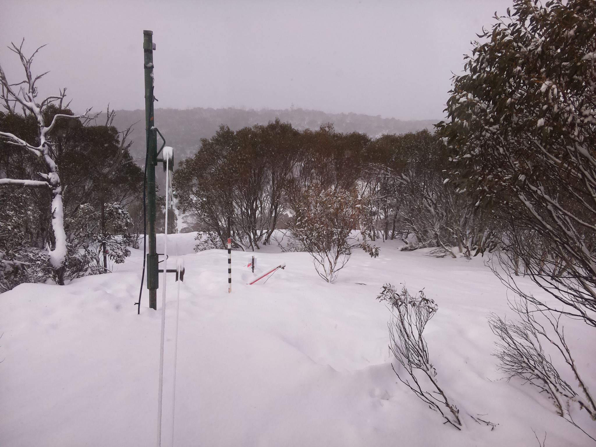 Bogong Web Cam 11:20am Saturday 16th of August 2025