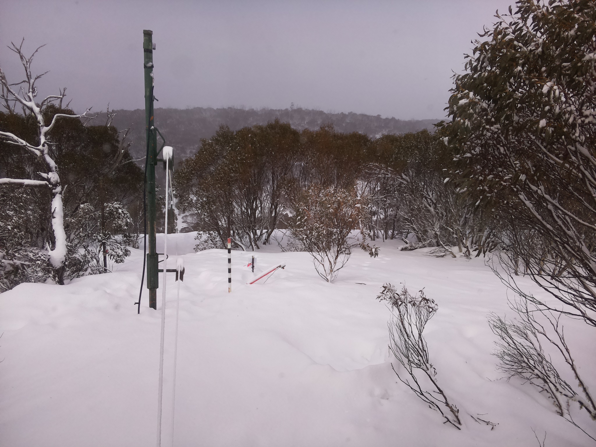 Bogong Web Cam 11:30am Saturday 16th of August 2025