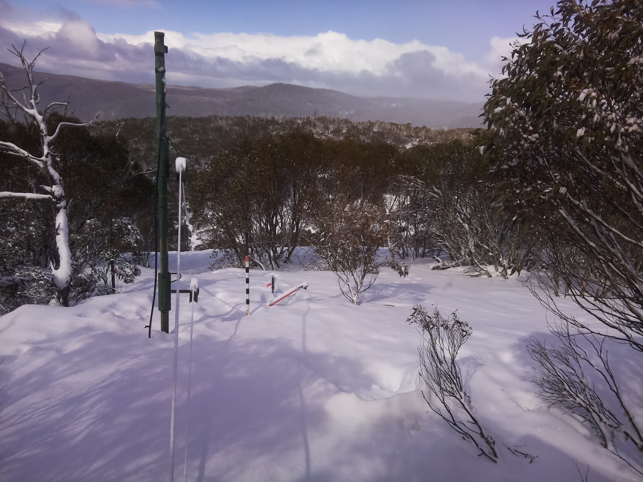 Bogong Web Cam 11:40am Saturday 16th of August 2025