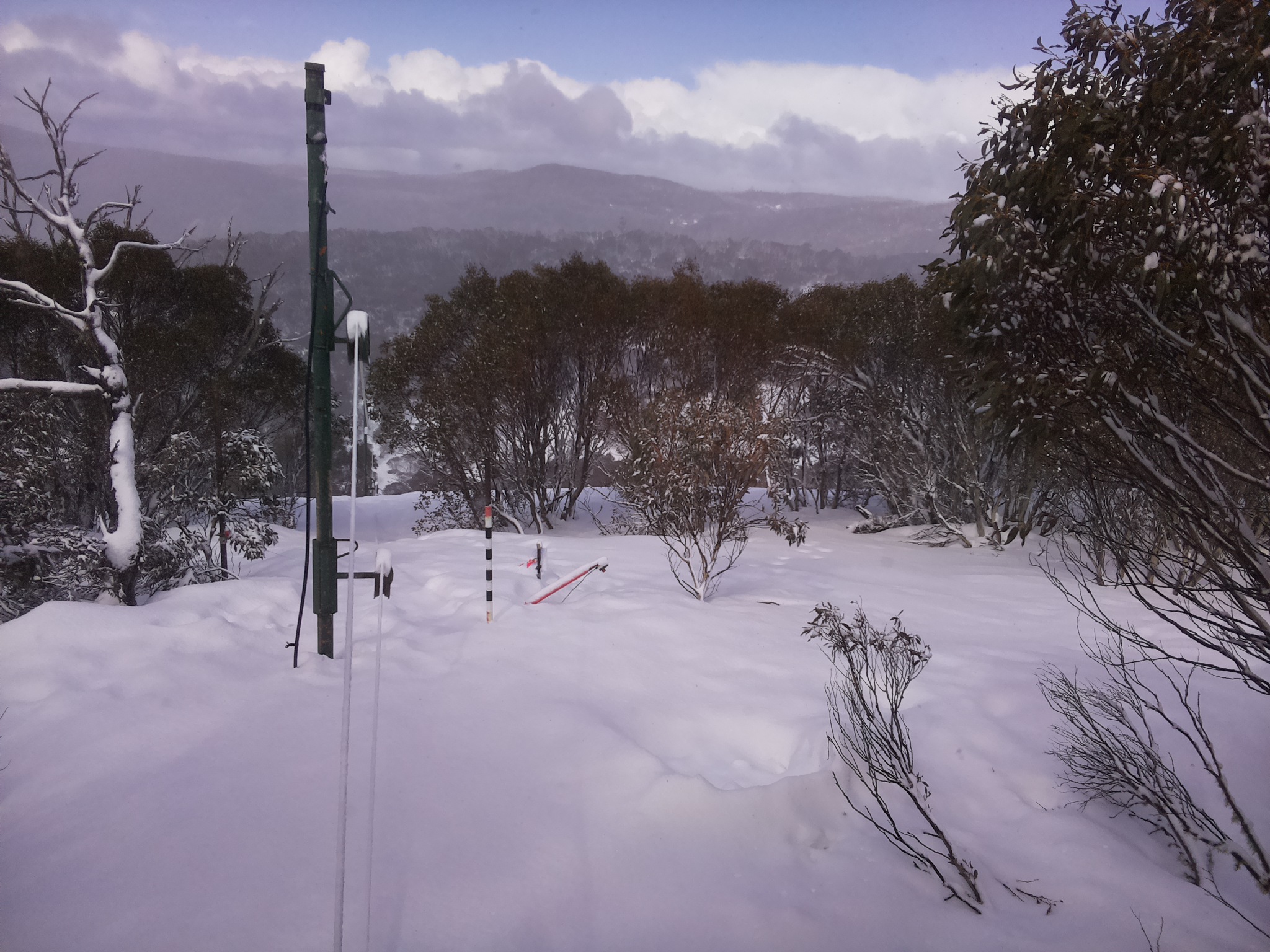 Bogong Web Cam 11:50am Saturday 16th of August 2025