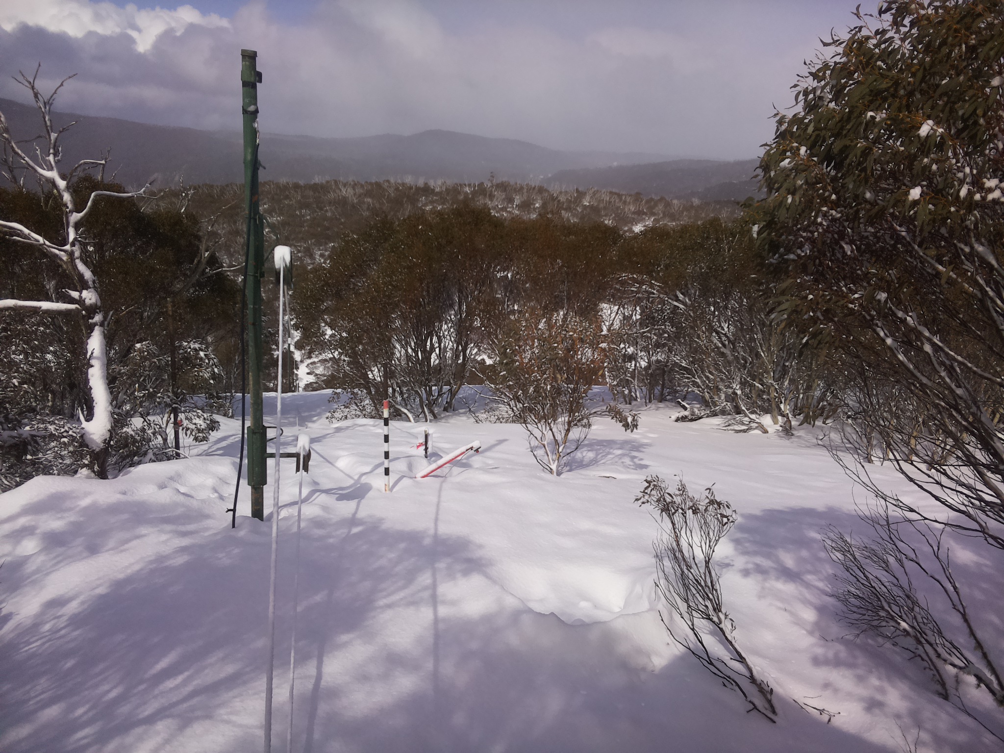 Bogong Web Cam 12:10pm Saturday 16th of August 2025