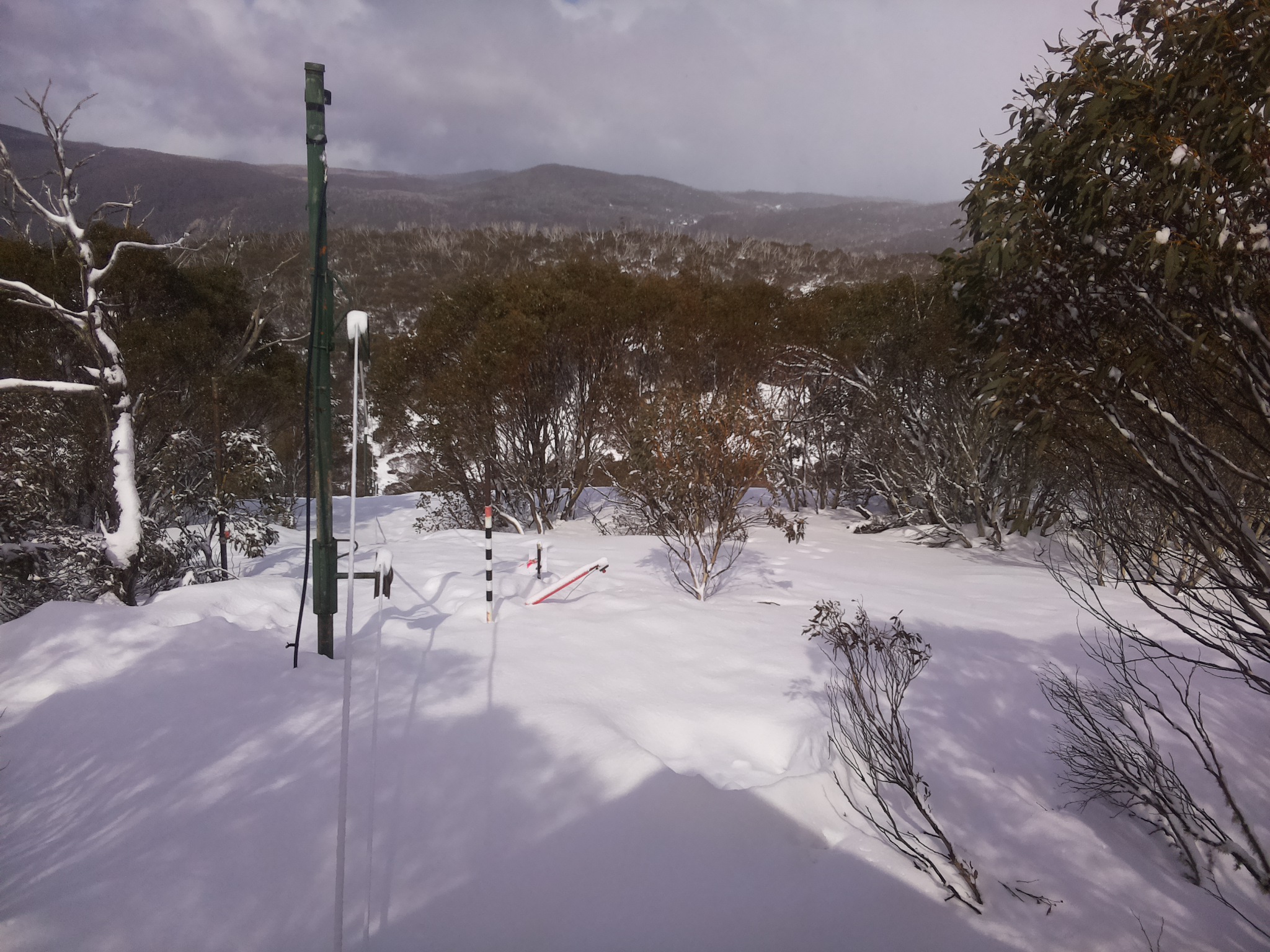 Bogong Web Cam 12:50pm Saturday 16th of August 2025