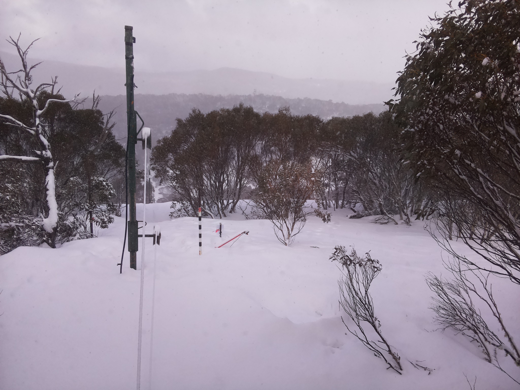 Bogong Web Cam 1:00pm Saturday 16th of August 2025
