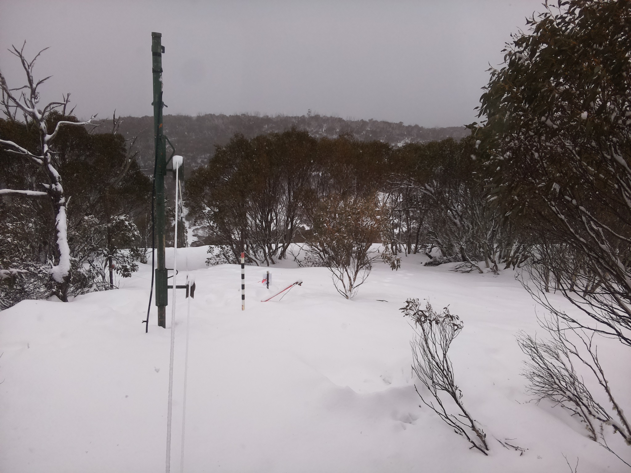 Bogong Web Cam 1:20pm Saturday 16th of August 2025