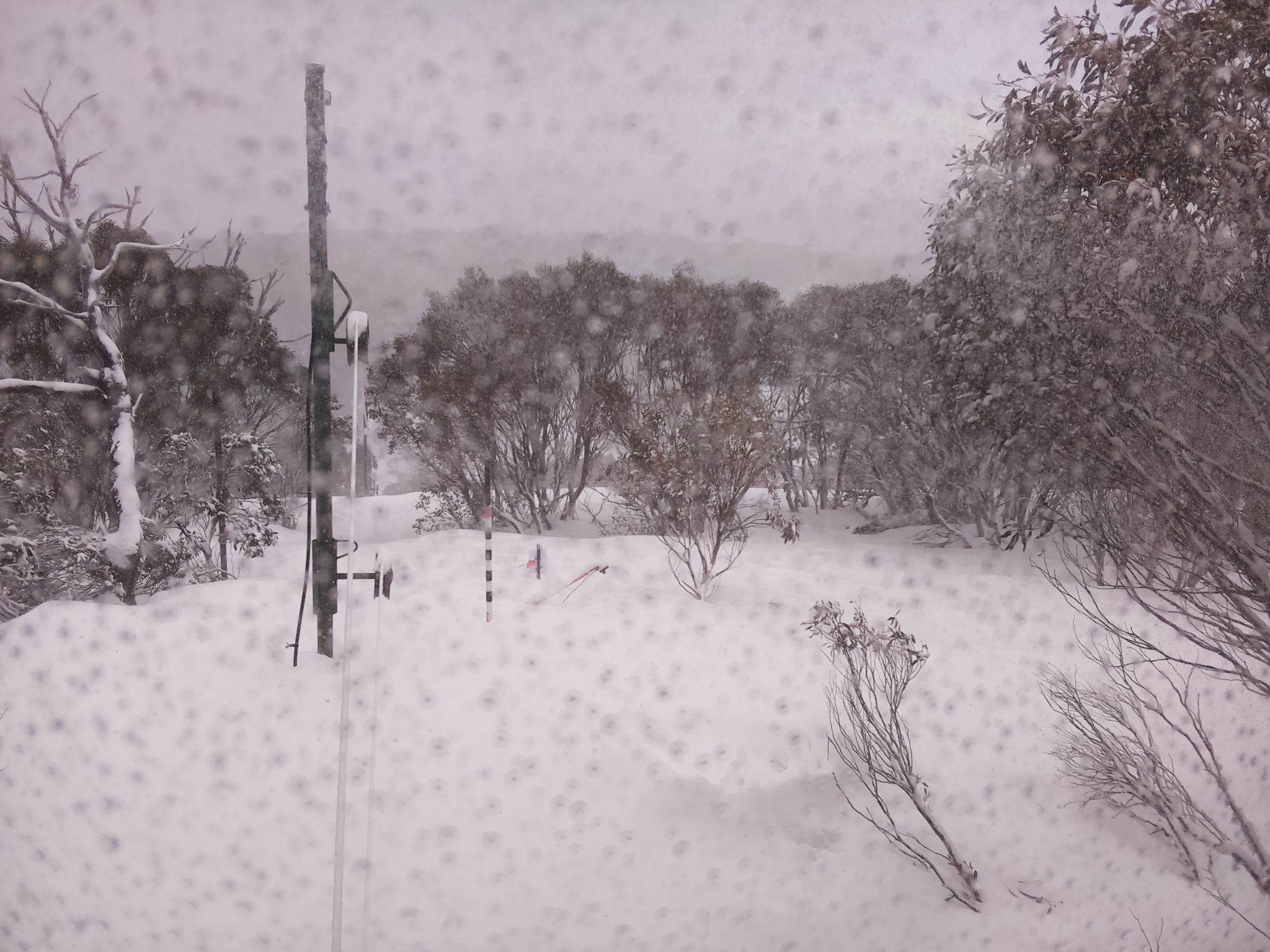Bogong Web Cam 1:40pm Saturday 16th of August 2025