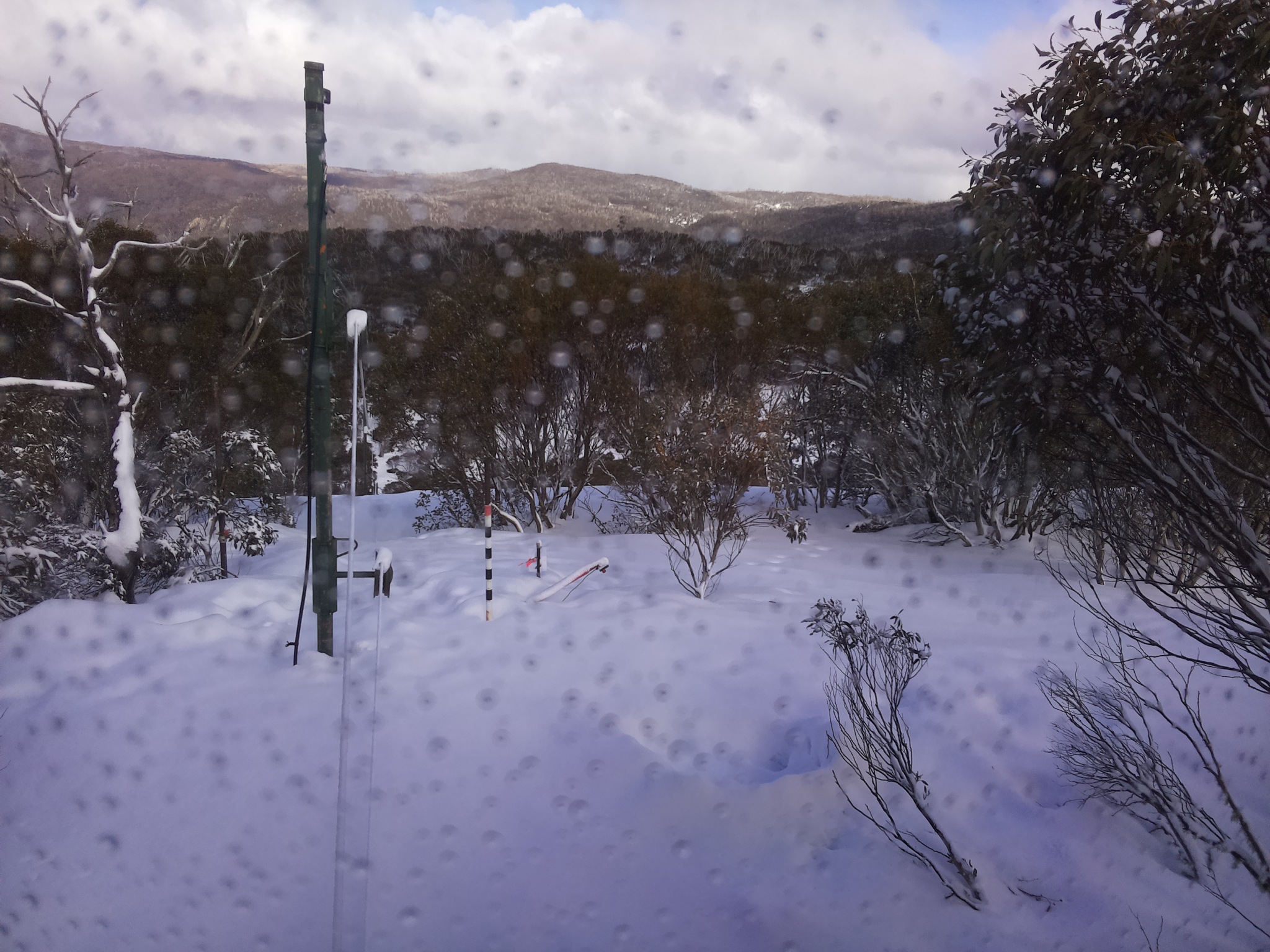 Bogong Web Cam 2:20pm Saturday 16th of August 2025
