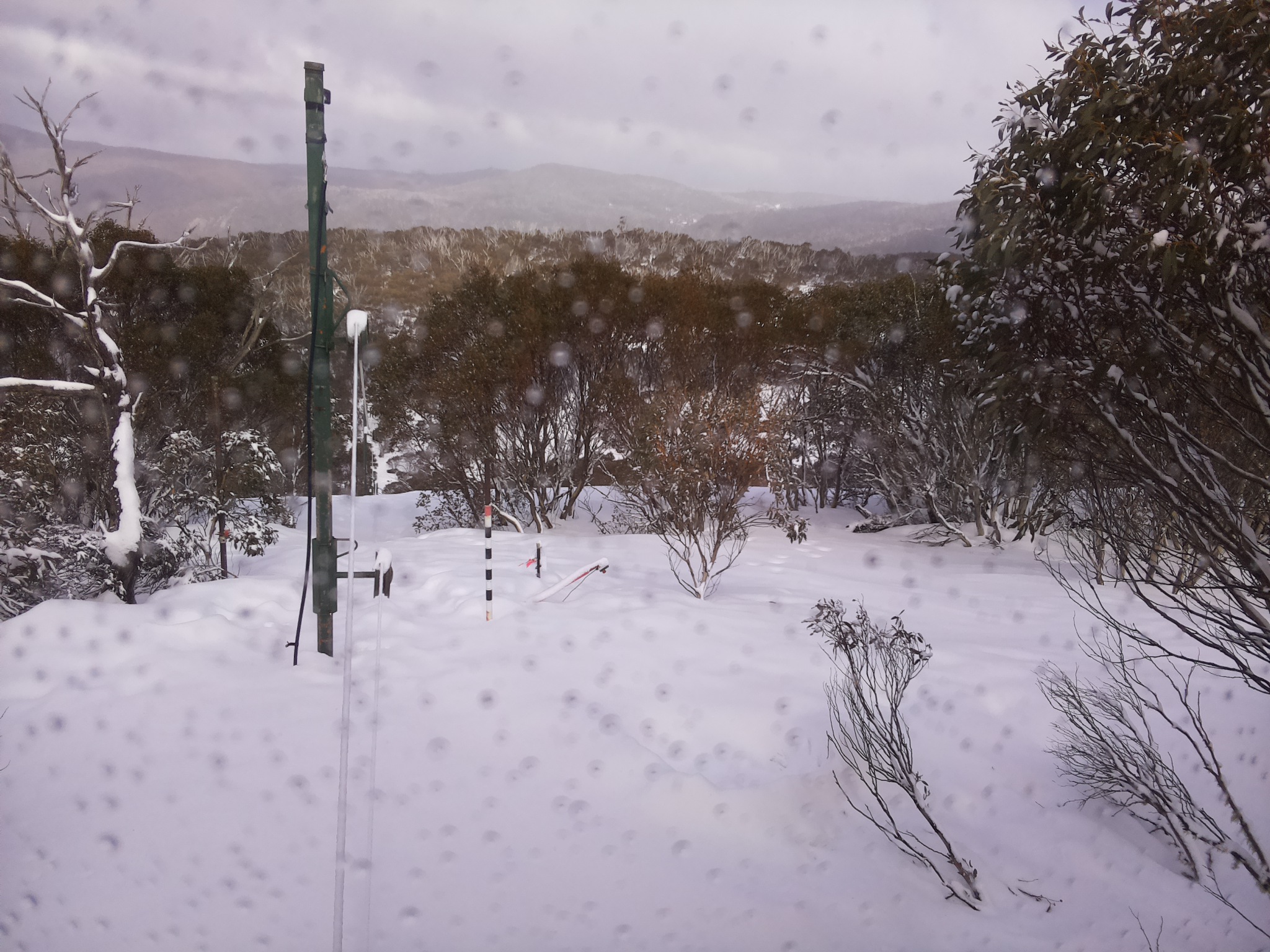 Bogong Web Cam 2:30pm Saturday 16th of August 2025