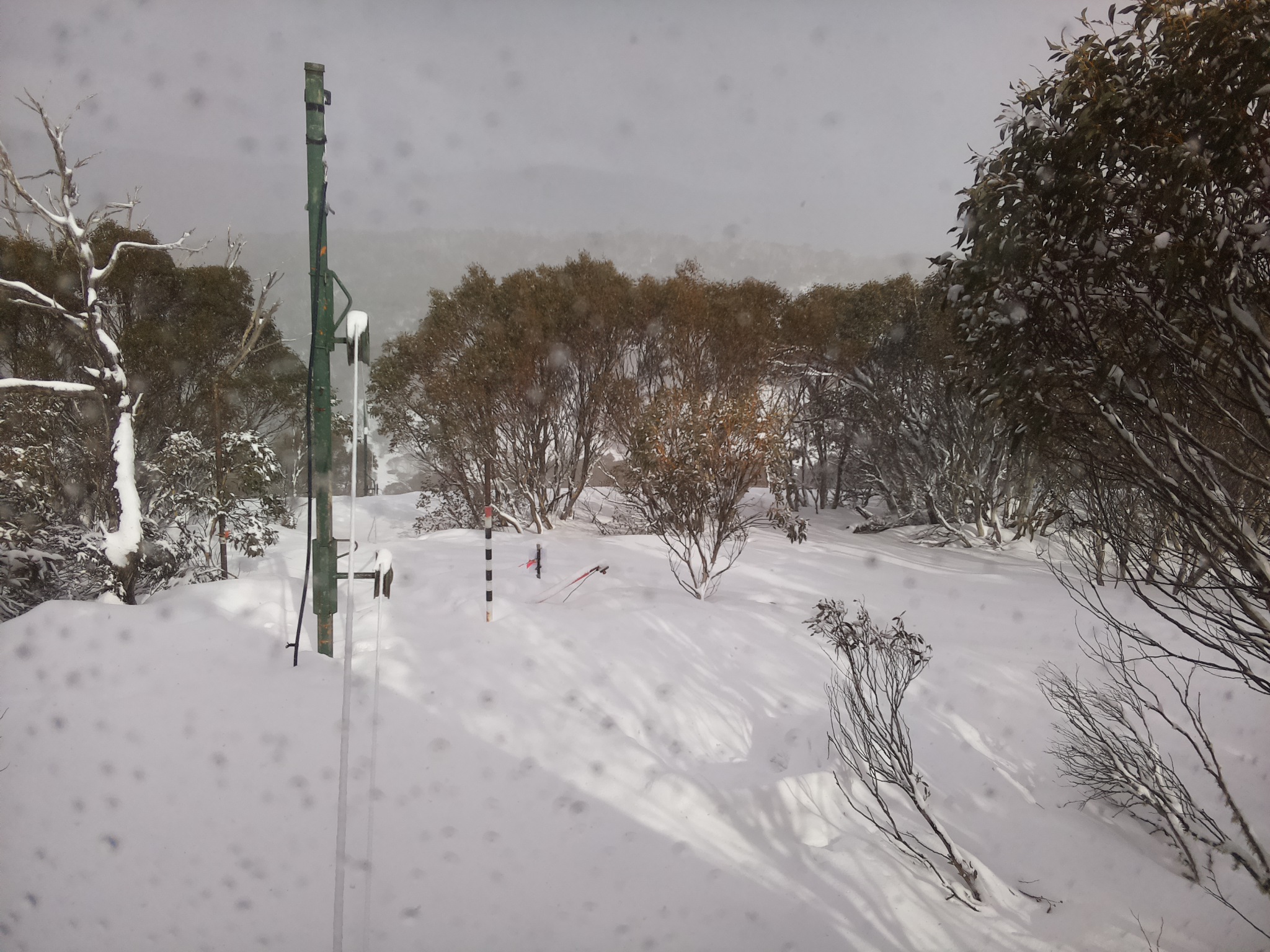 Bogong Web Cam 2:50pm Saturday 16th of August 2025