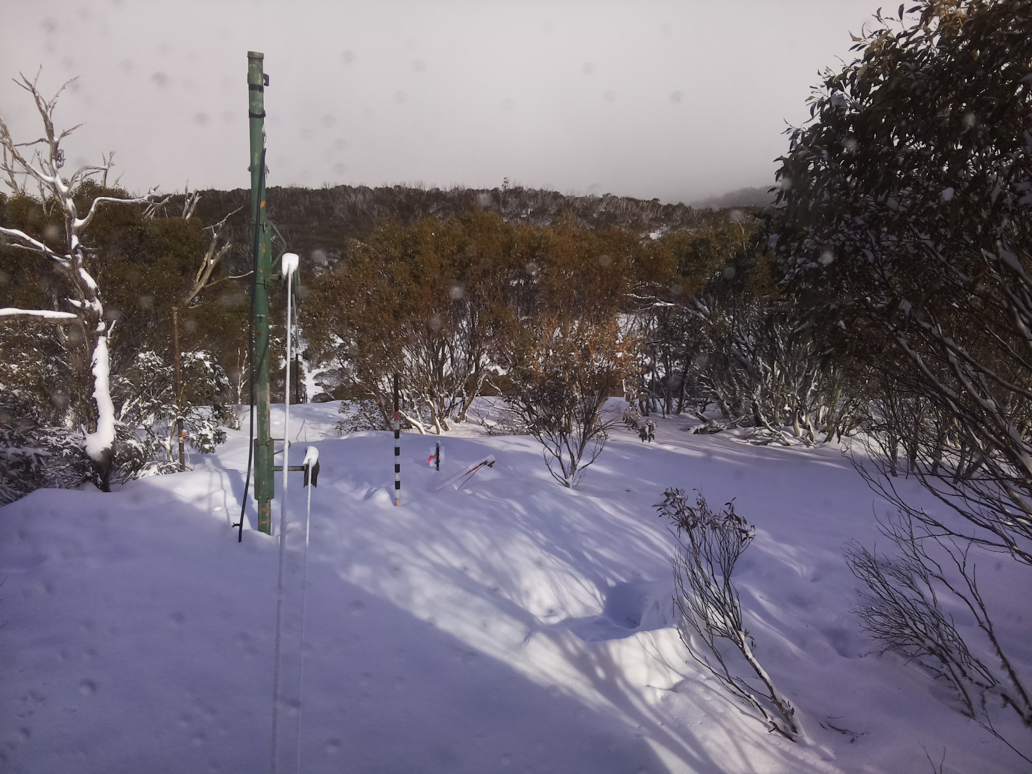 Bogong Web Cam 3:00pm Saturday 16th of August 2025