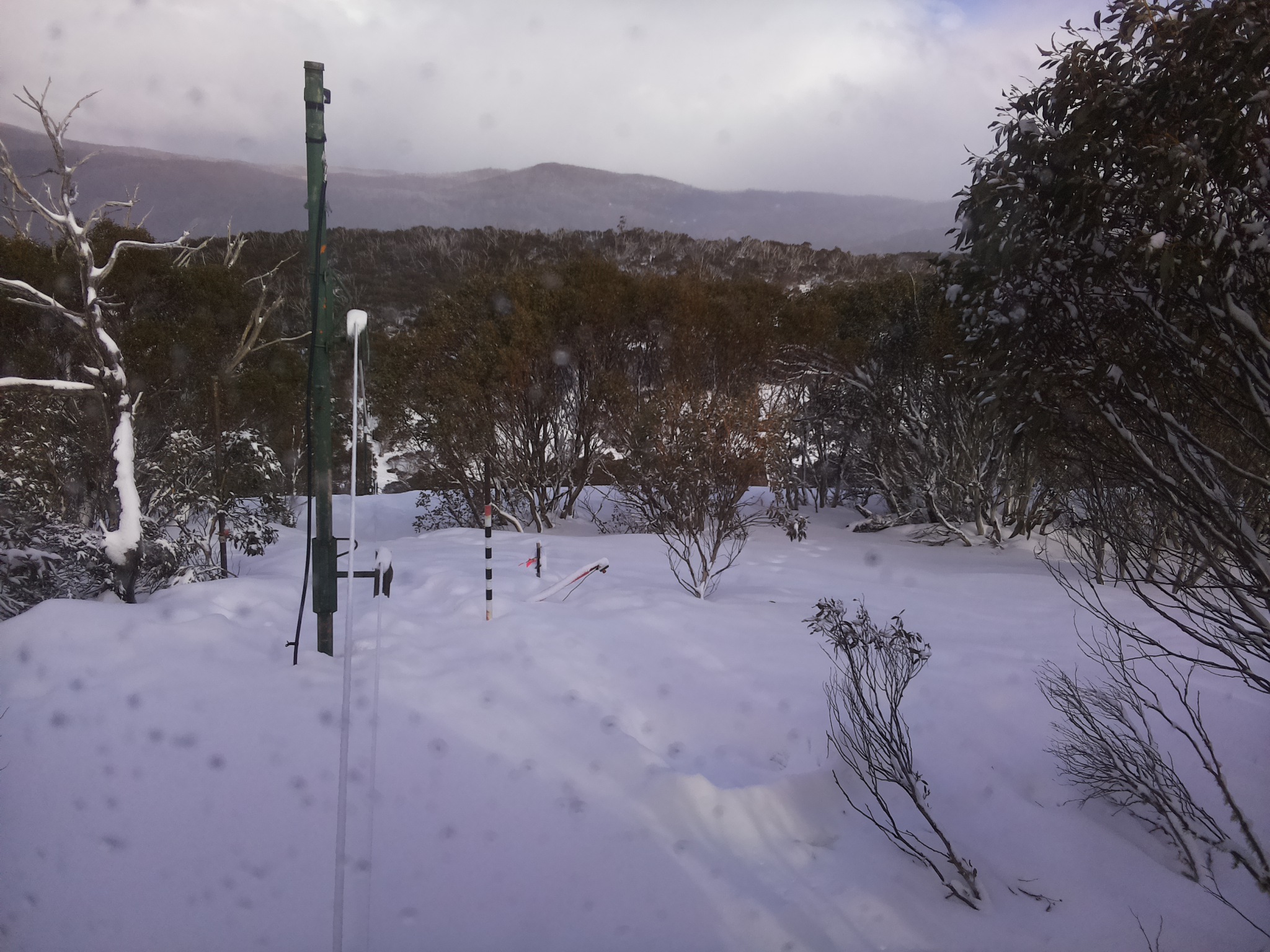 Bogong Web Cam 3:20pm Saturday 16th of August 2025