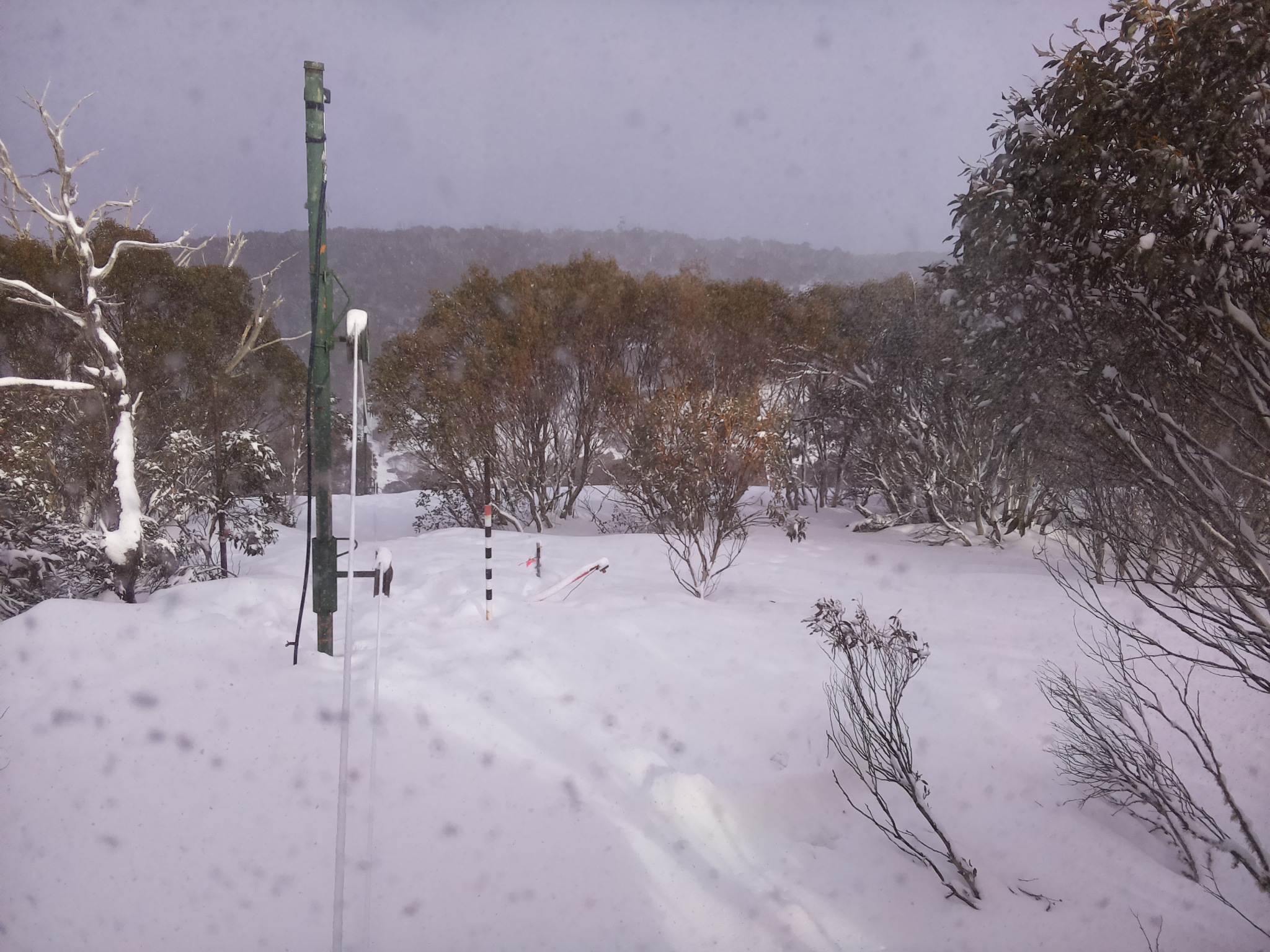 Bogong Web Cam 3:30pm Saturday 16th of August 2025