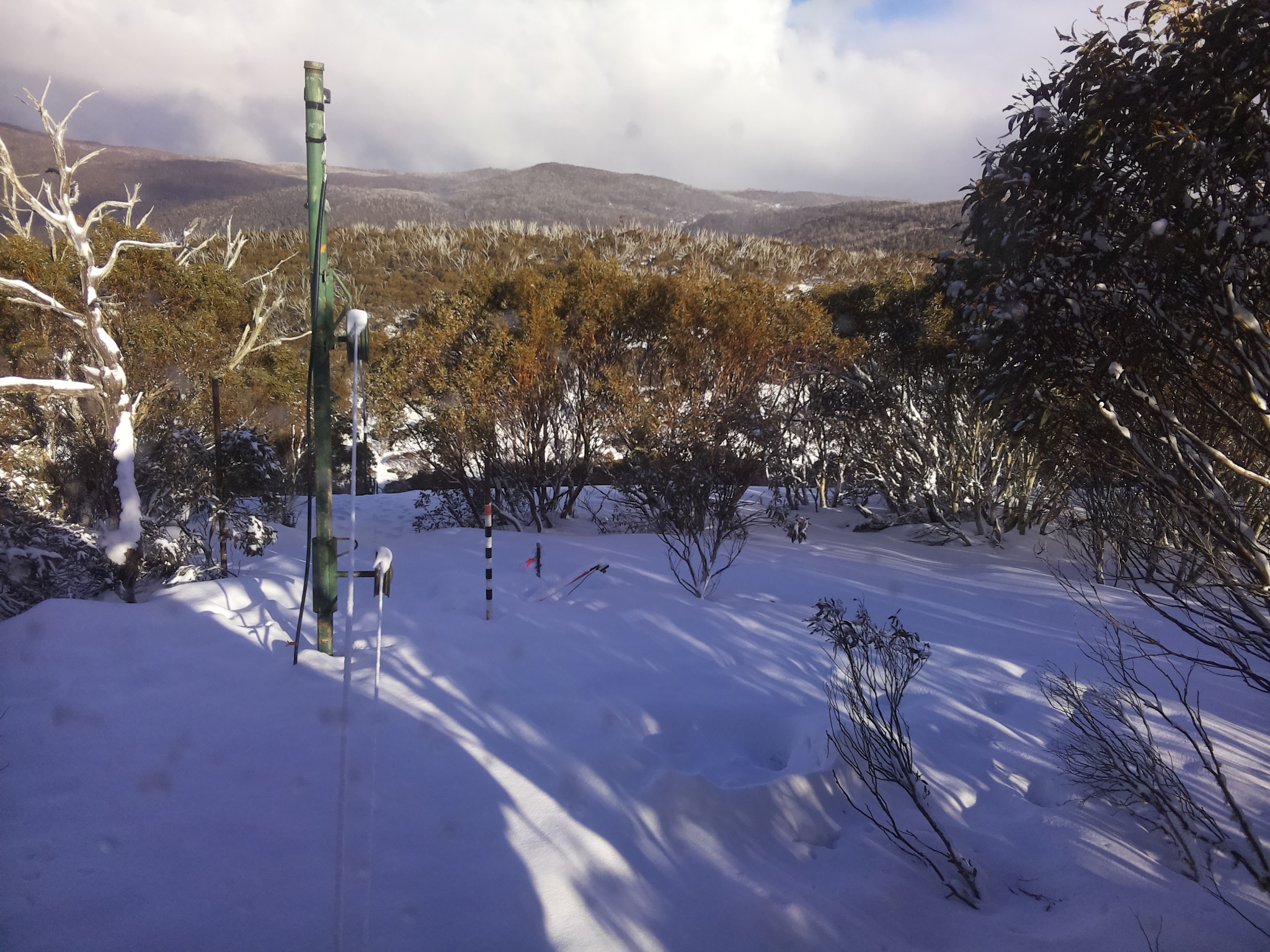Bogong Web Cam 3:50pm Saturday 16th of August 2025