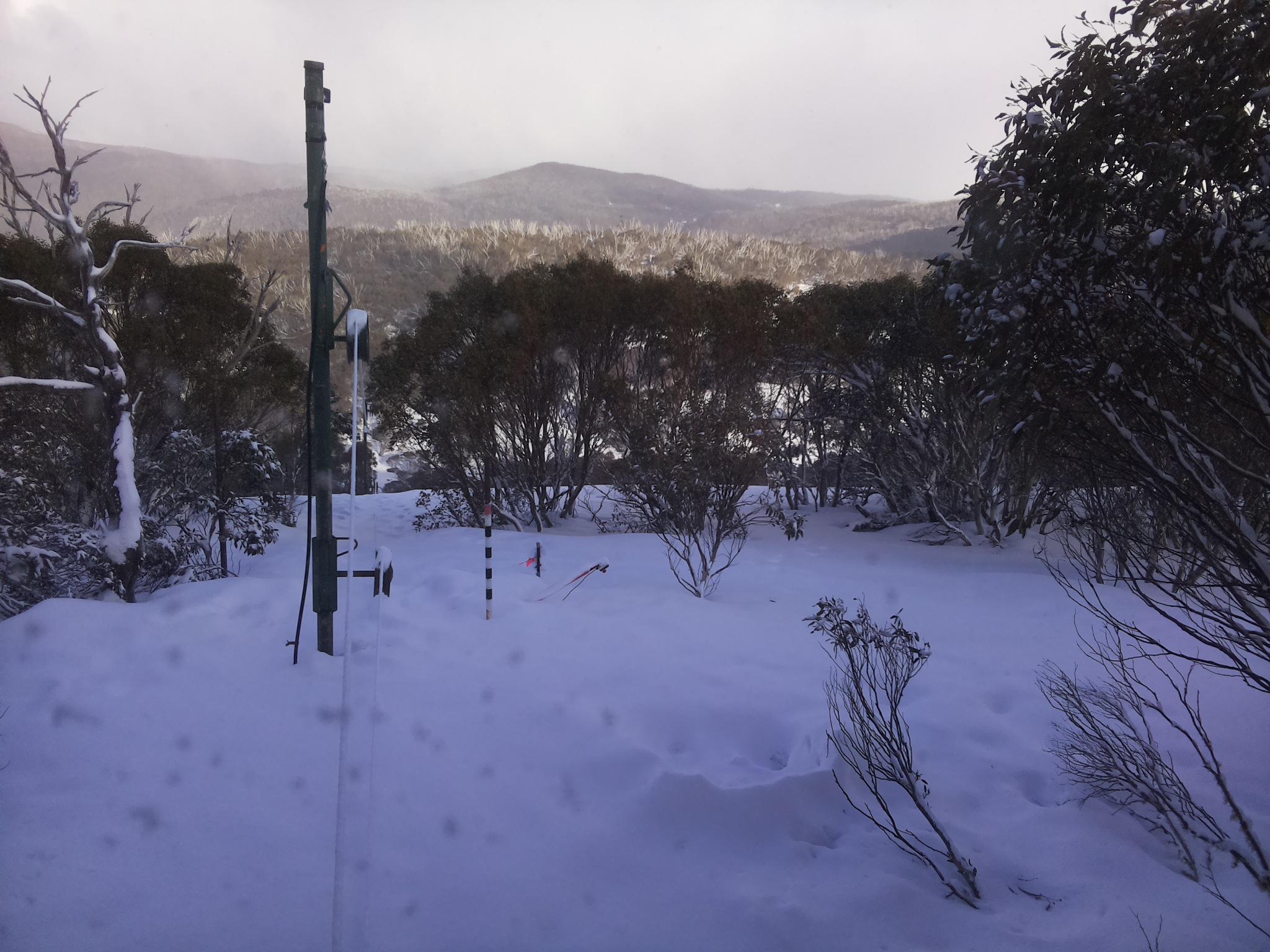 Bogong Web Cam 4:00pm Saturday 16th of August 2025