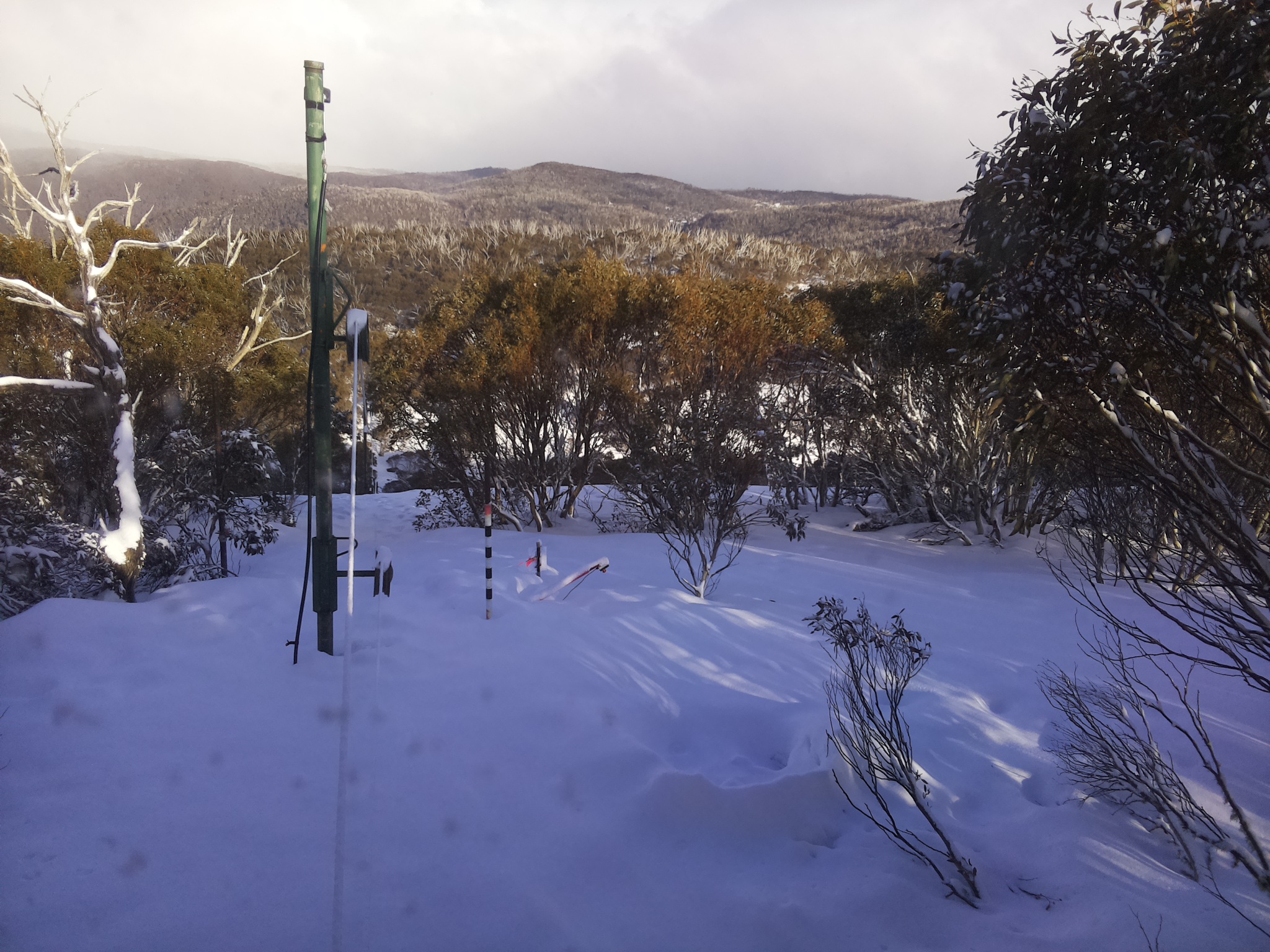 Bogong Web Cam 4:10pm Saturday 16th of August 2025