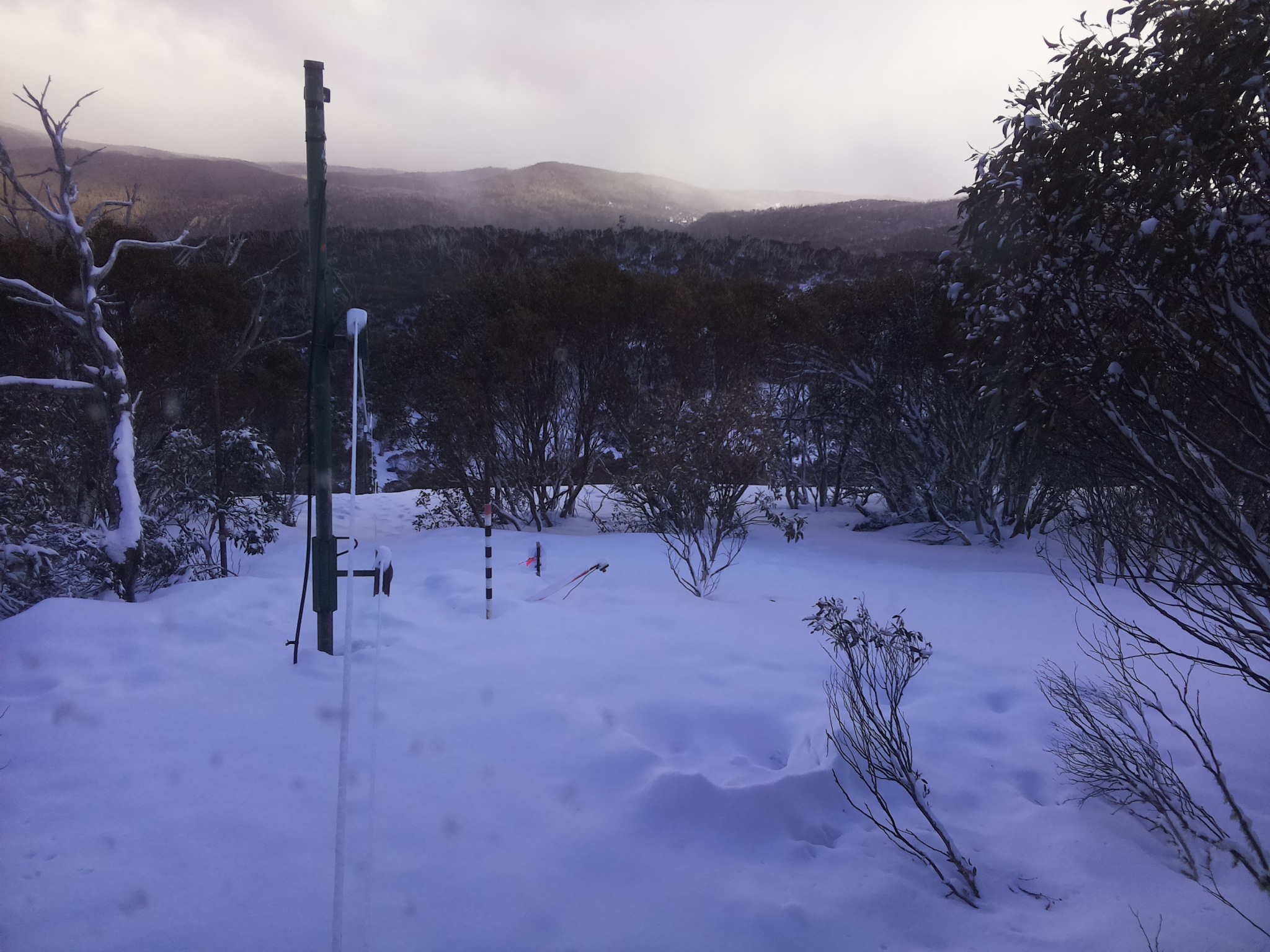 Bogong Web Cam 4:20pm Saturday 16th of August 2025