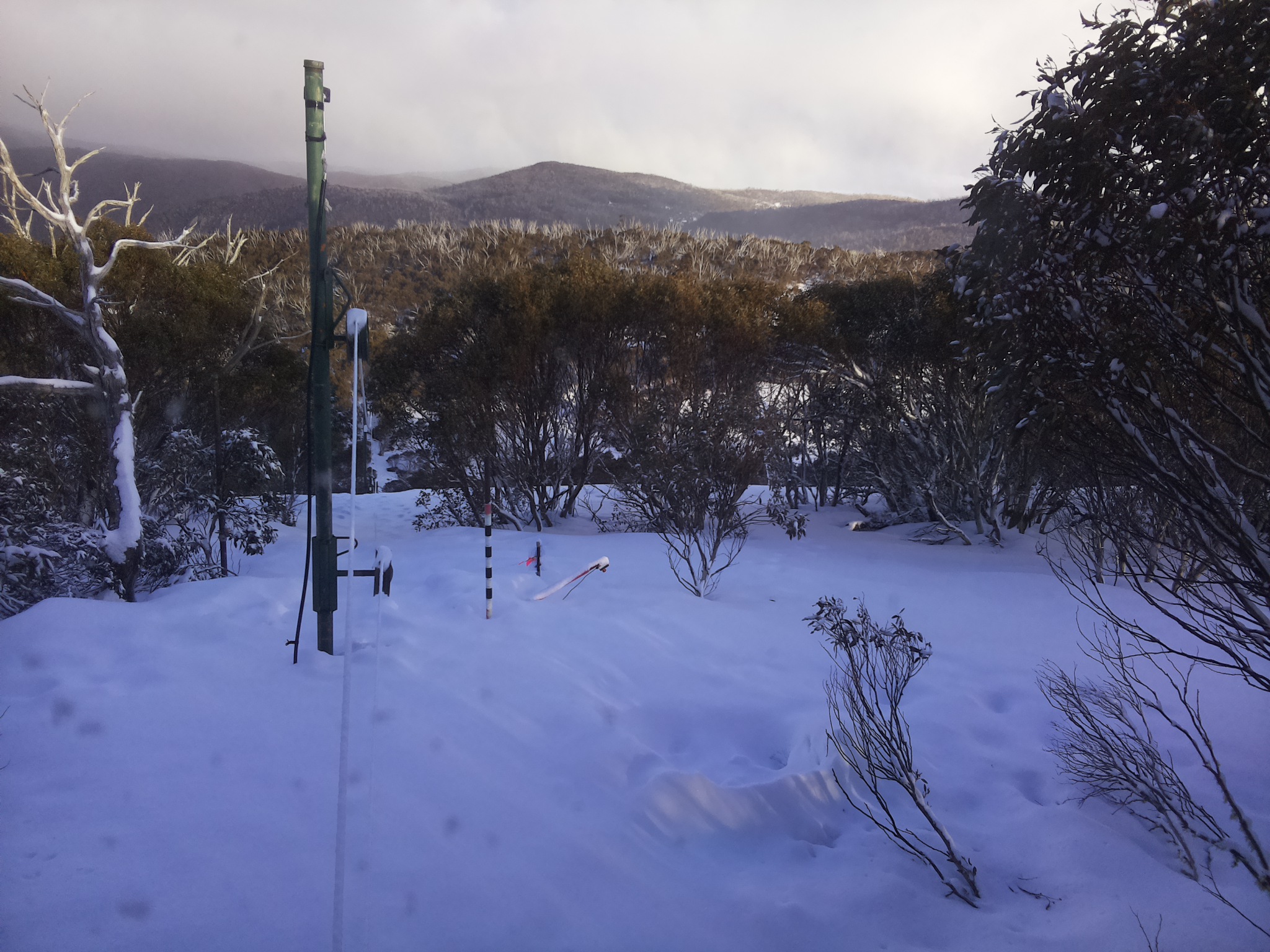 Bogong Web Cam 4:30pm Saturday 16th of August 2025