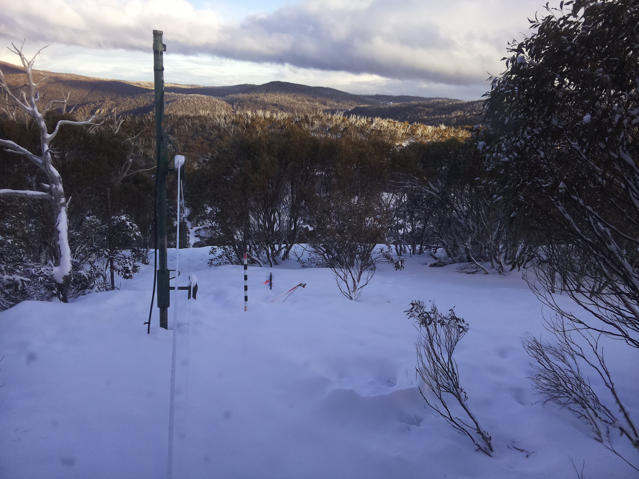 Bogong Web Cam 4:50pm Saturday 16th of August 2025