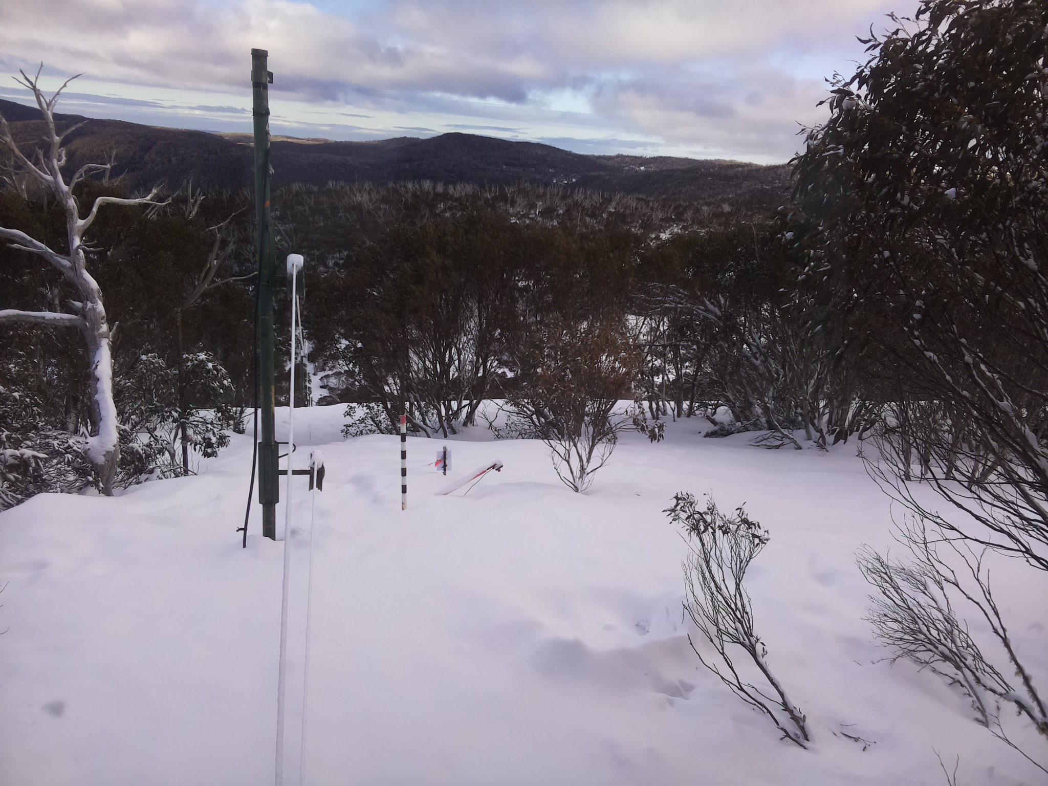 Bogong Web Cam 8:00am Sunday 17th of August 2025