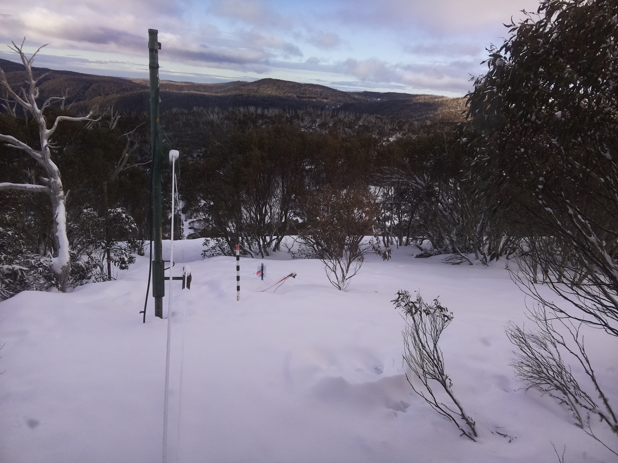 Bogong Web Cam 8:10am Sunday 17th of August 2025