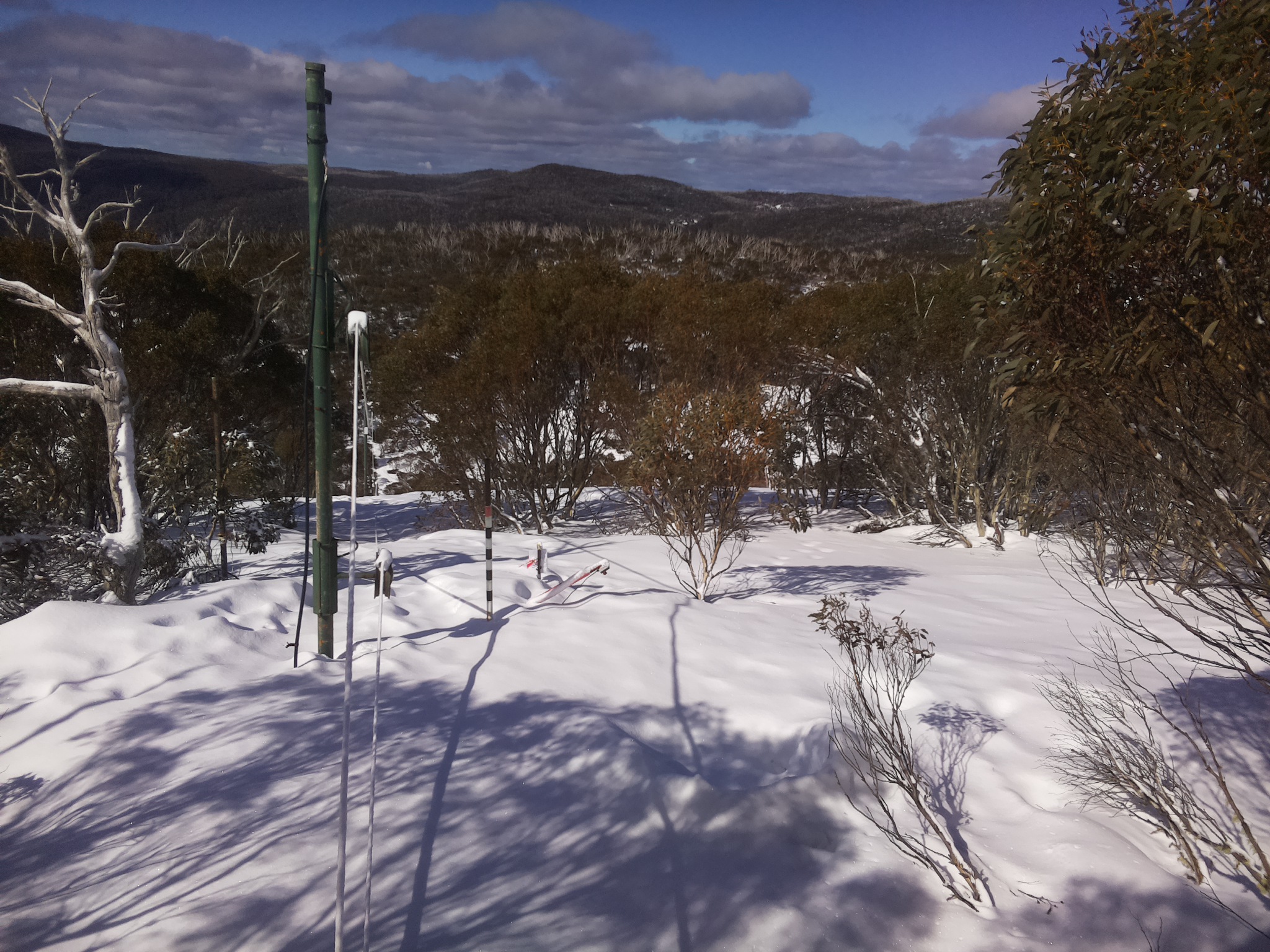 Bogong Web Cam 11:00am Sunday 17th of August 2025